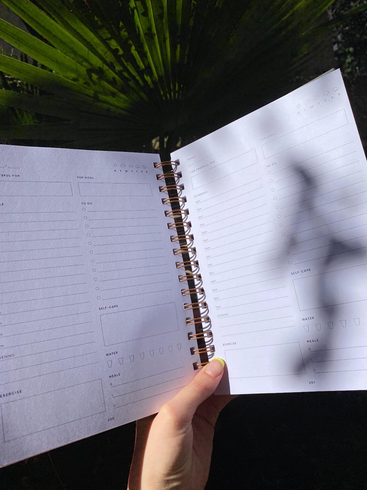 The Self-Care Planner by Simple Self - Undated 6 Month Life Planner - Daily, Monthly, Weekly - Focus on Wellness, Productivity, Achieving Goals, and Happiness (Blush, Daily Edition: 6 Months) customer photo 2