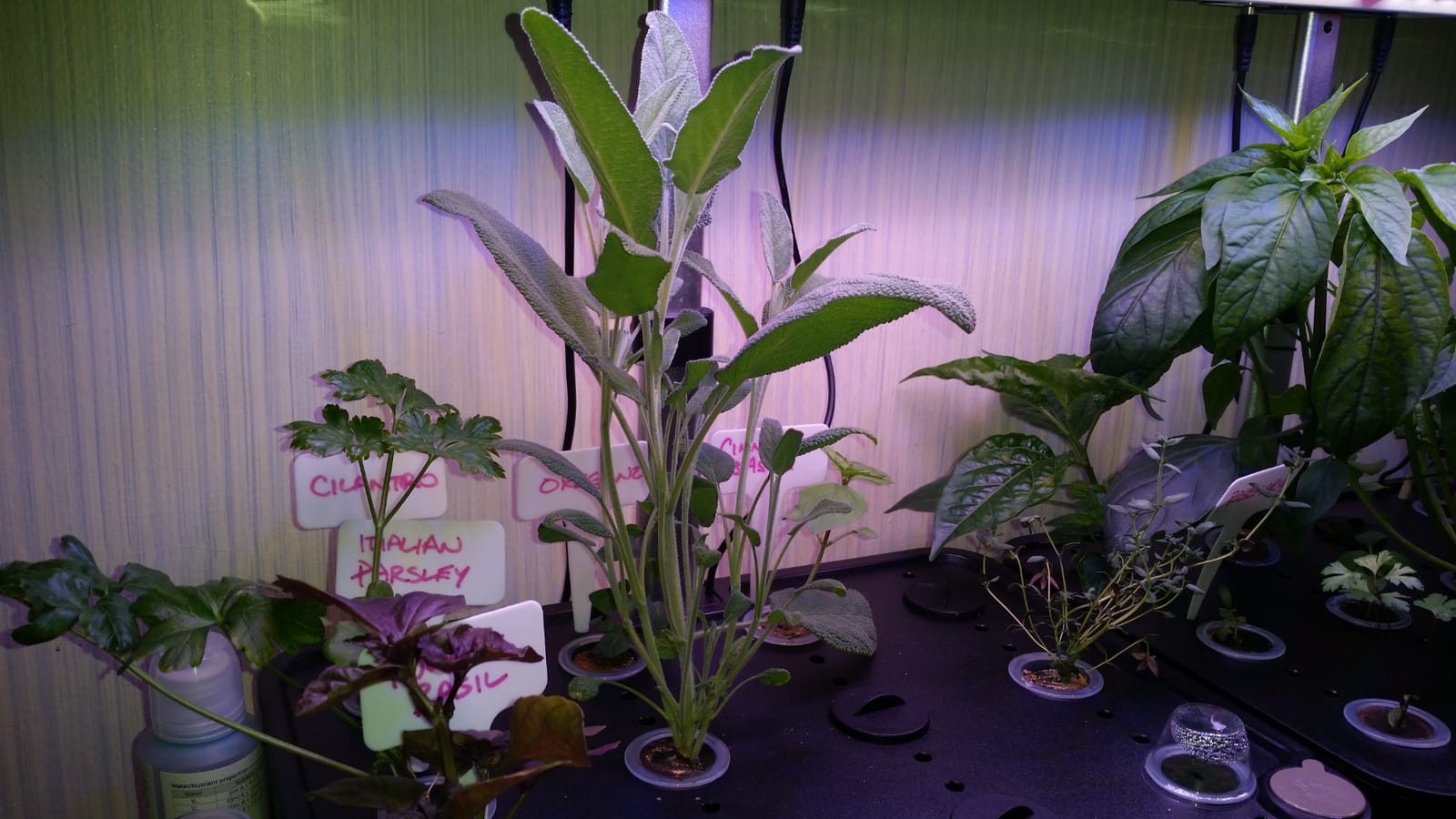 iDOO Hydroponics Growing System Kit 12Pods, Indoor Herb Garden with LED Grow Light, Built-in Fan, Auto-Timer, Adjustable Height Up to 11.3