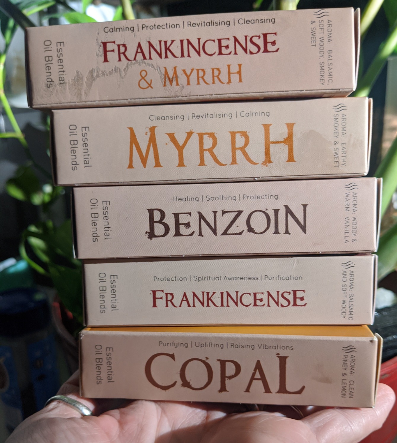 Spiritual Awareness Resin Oil Roll-On Blend Gift Set, 6x6ml, Aromafume | Frankincense, Copal, Benzoin, Frankincense & Myrrh | for Meditation, Spiritual Awakening & Prayer customer photo 2