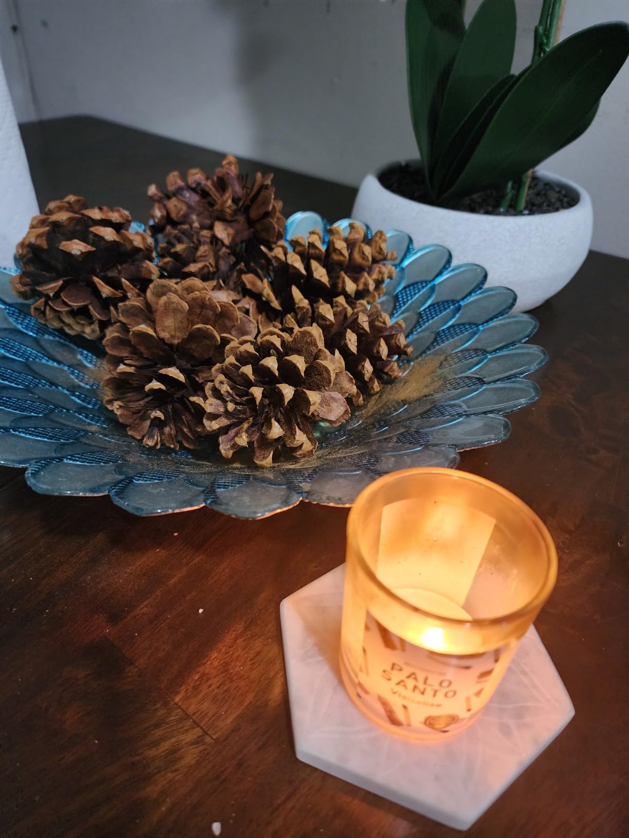 Magnificent 101 Long-Lasting Manifestation & Intention Aromatherapy Candles - Set of 6 | 21 Oz - 84-Hour Burn | 100% Soy Wax - Cedar, Palo Santo, Pure Sage, Lotus, Rose & Lavender customer photo 1
