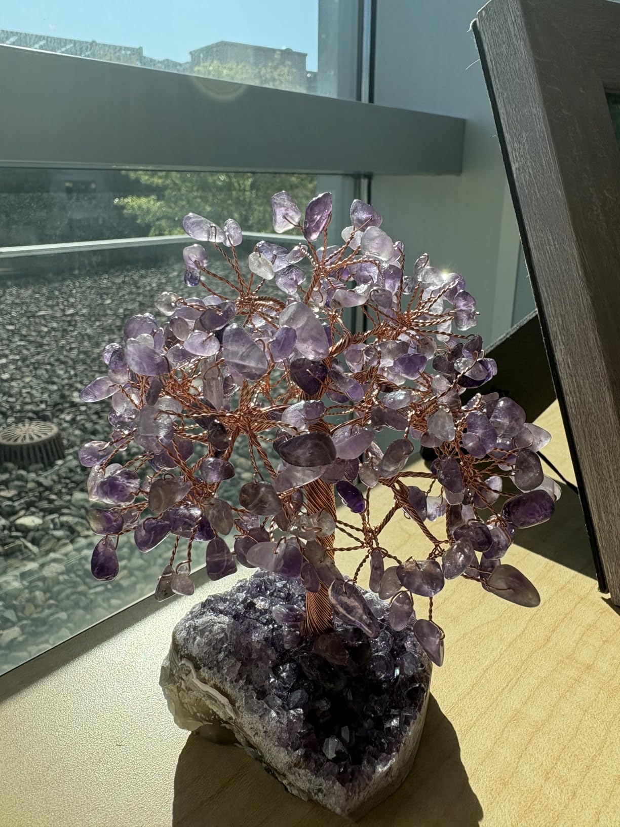Jovivi Natural Amethyst Healing Crystal Money Tree on Amethyst Cluster Geode Druzy Base Feng Shui Crystals for Home Office Desk Decorations, Wealth, Good Luck customer photo 1