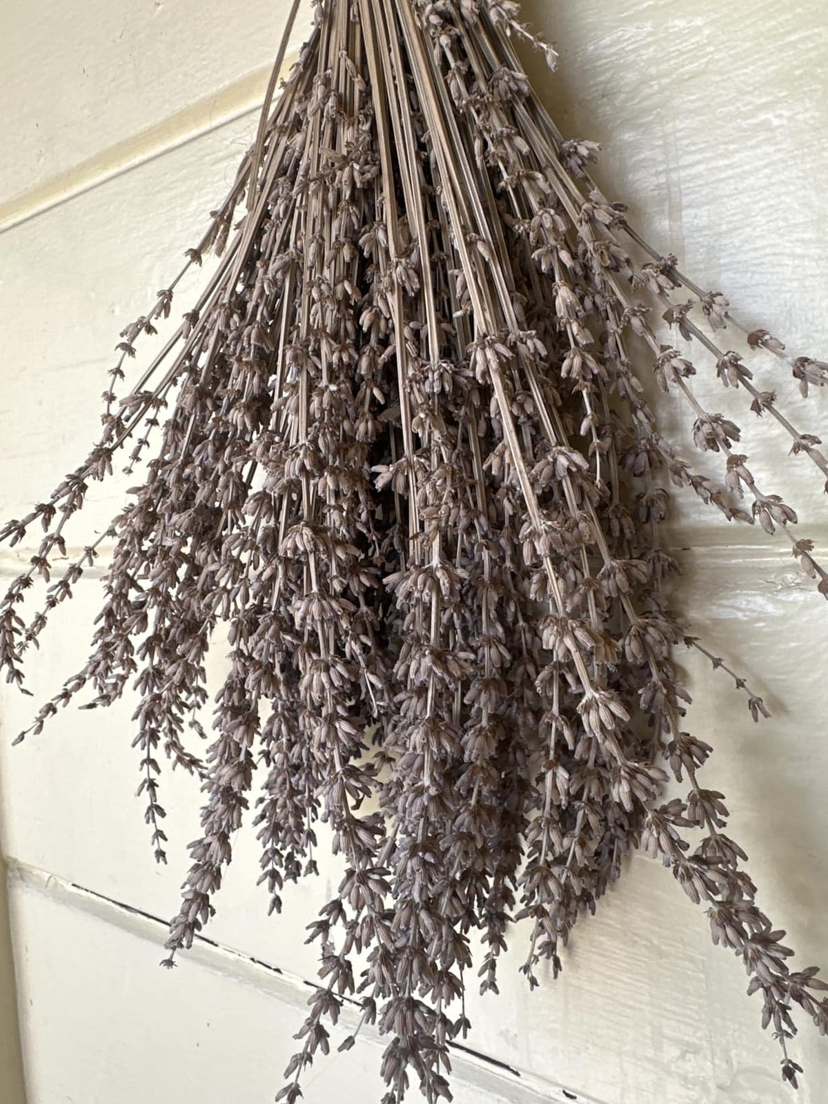 6 Packs Natural Dried Lavender Flowers Bouquet with Stems | (14-17 Inches,540-600 Stems) Home Fragrance for Drawers,Wedding Decor,Photography Props, DIY Crafts Supplies customer photo 1