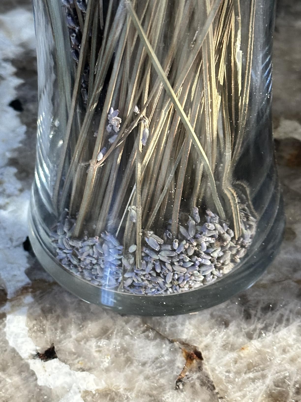 6 Packs Natural Dried Lavender Flowers Bouquet with Stems | (14-17 Inches,540-600 Stems) Home Fragrance for Drawers,Wedding Decor,Photography Props, DIY Crafts Supplies customer photo 2