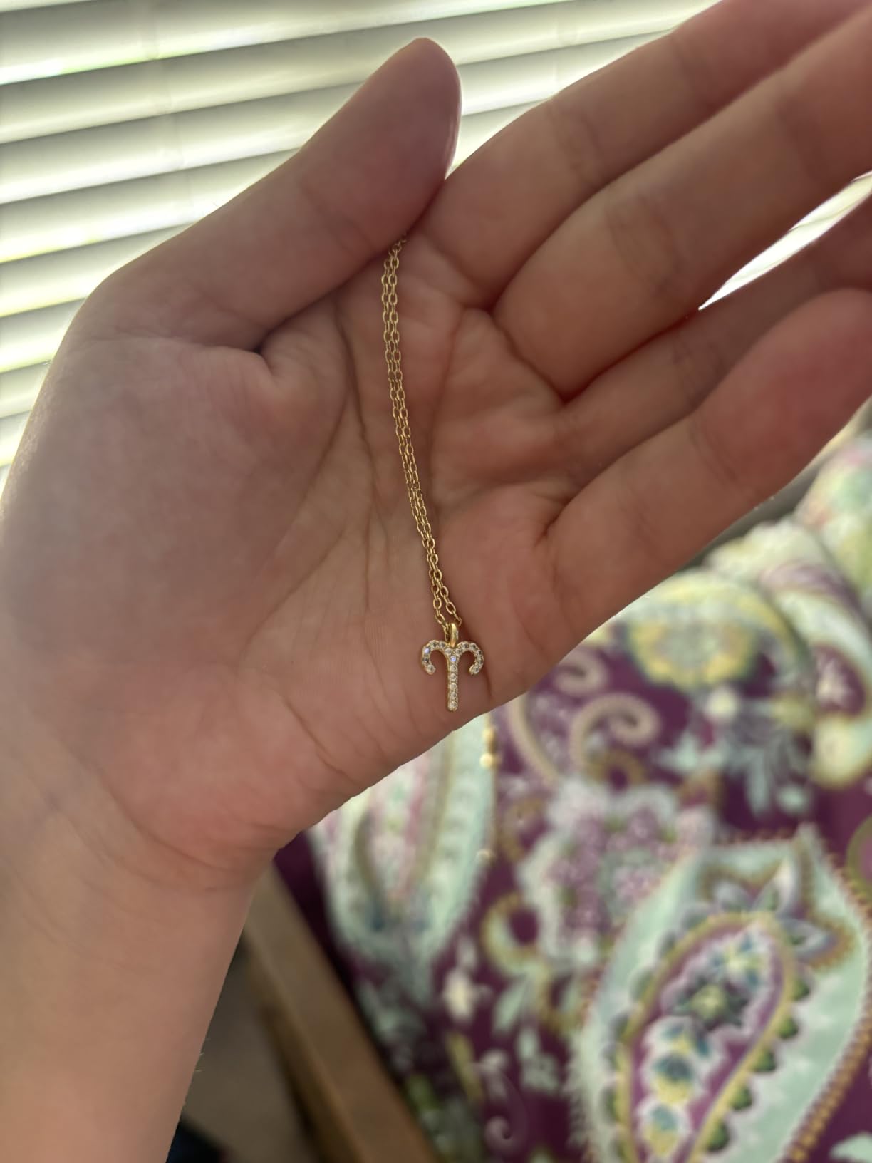 PAVOI 14K Gold Plated Zodiac Necklaces for Women, Astrology CZ Pendant | Astrology Necklaces with Cubic Zirconia, Zodiac Sign Pendant Necklaces Jewelry Gifts customer photo 1