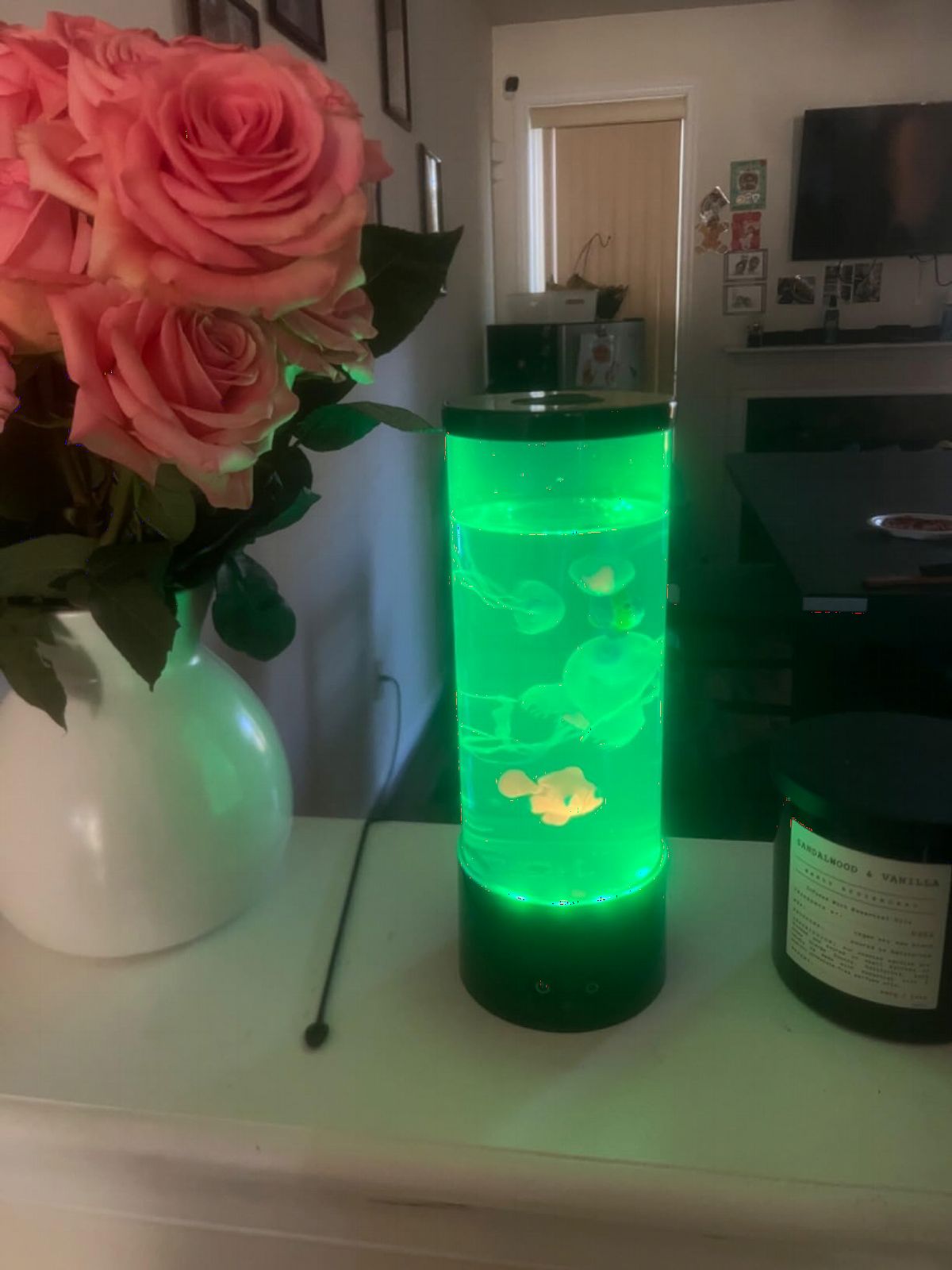 LEHAHA Jellyfish Lamp with 16 Color Changing Relax Mood Light with Remote Control USB/Battery Jellyfish Aquarium for Home Office Table Room Decor Gifts for Adults customer photo 2