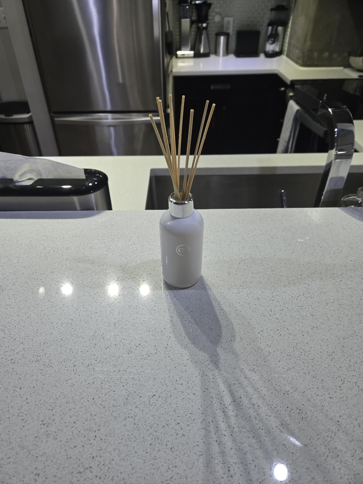 Volcano Reed Diffuser Set, Includes Reeds, Fragrance Oil, and Glass Bottle for Home Décor, Room Fresheners, White (8 Fl Oz) customer photo 1