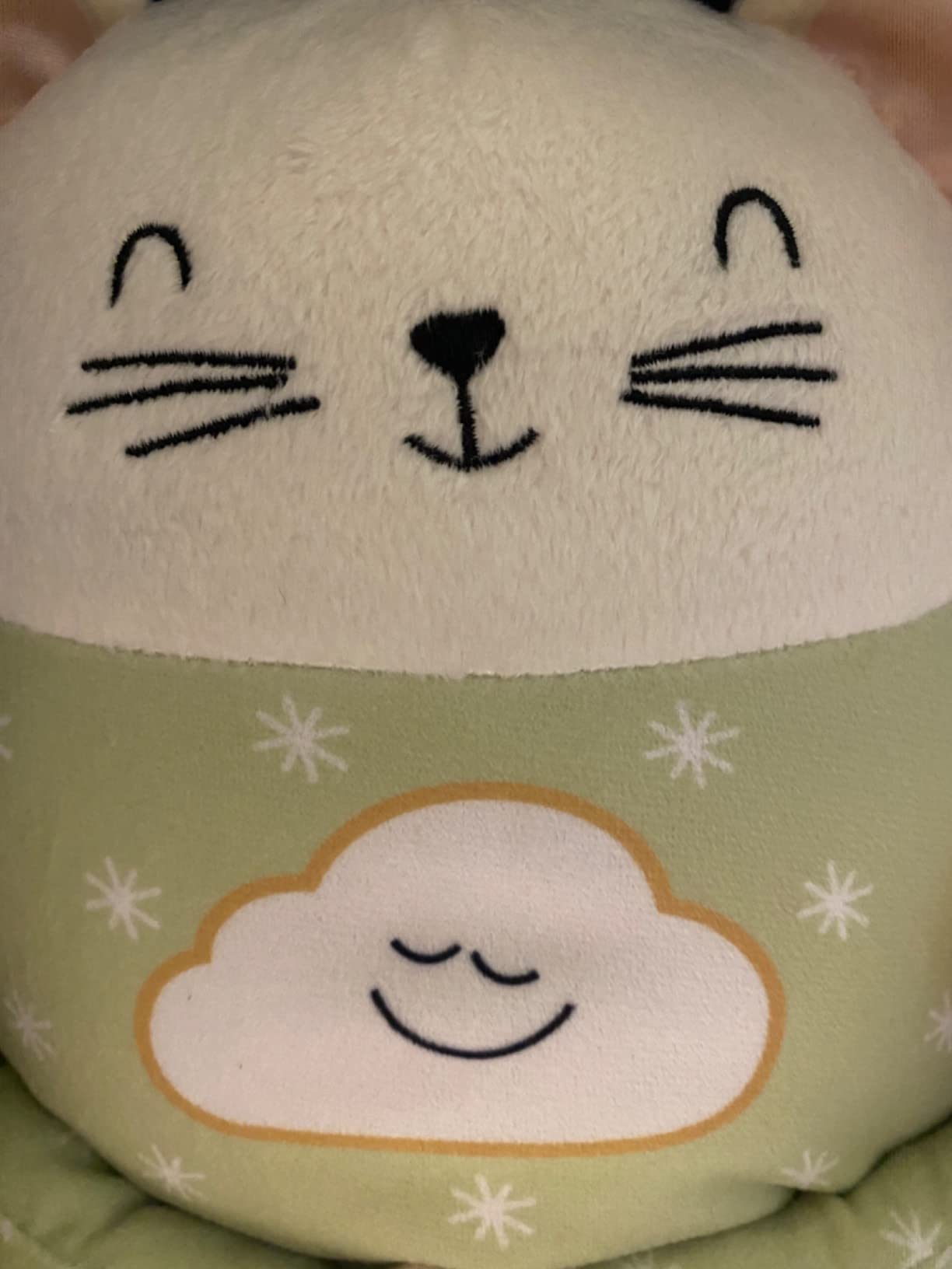 Fisher-Price Toddler Toy Meditation Mouse, Mindfulness Plush with Guided Relaxation Exercises, Music & Lights for Kids Ages 2+ Years customer photo 1