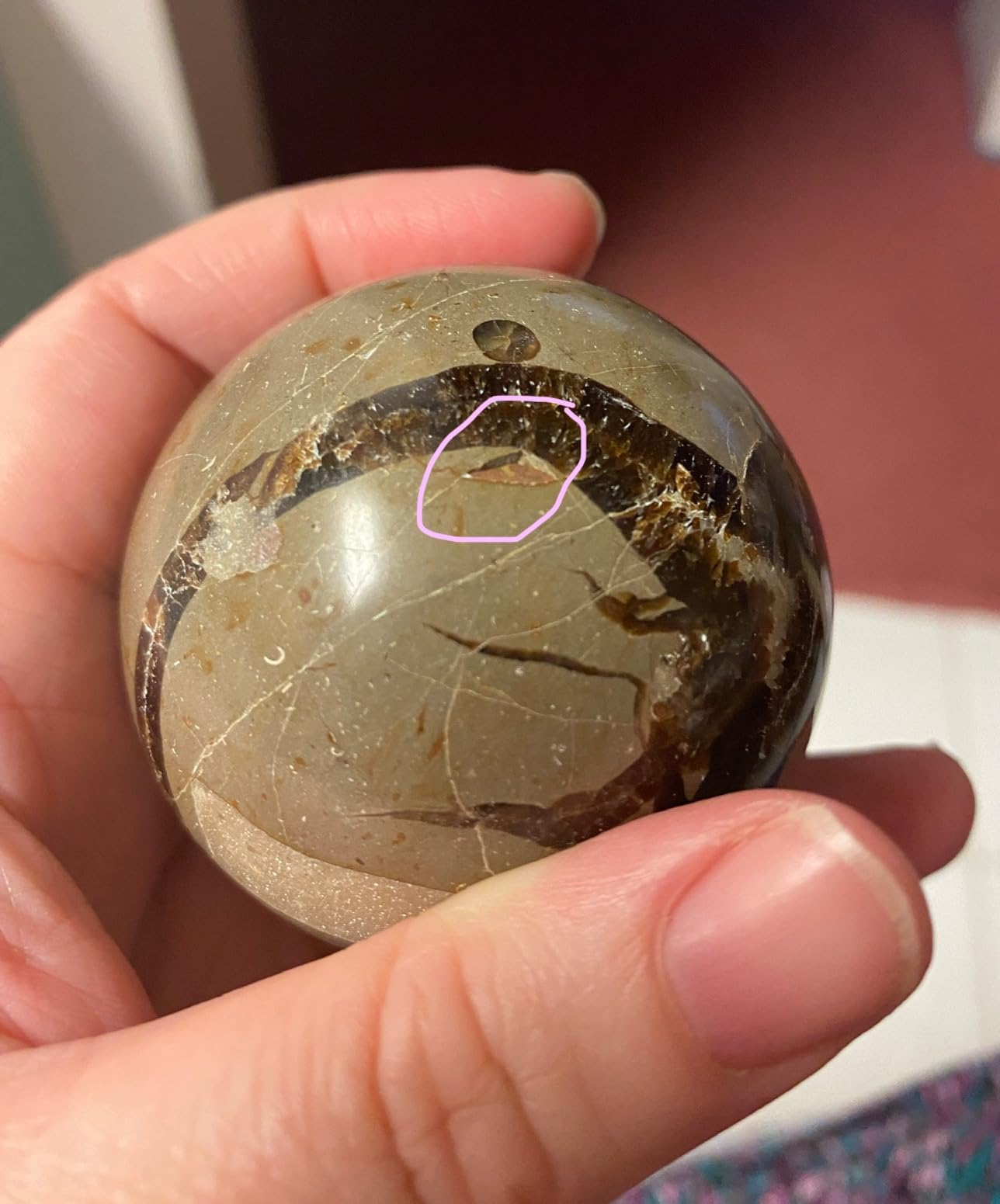 Acxico 1Pcs 5-6 cm Dragon Septarian Sphere Crystal Ball Specimen Healing Stone Random customer photo 1