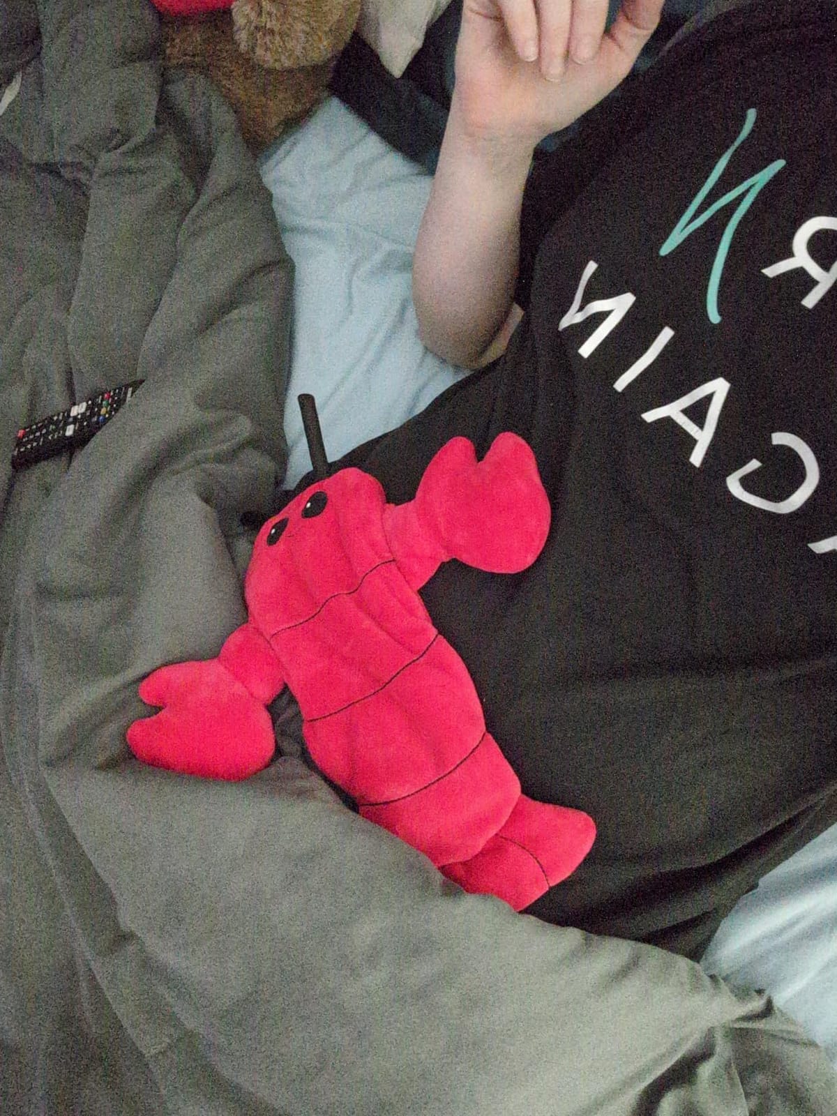 Menstruation Crustacean Lobster by Relatable, Microwavable Heating Pad for Period Cramps, Cuddly Plushies, Great Gift Ideas for Loved Ones of All Ages, Includes 1 Lavender Scented Heating Pad Plushy customer photo 1