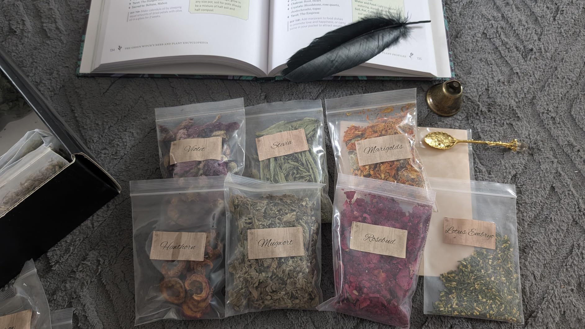 24-Pack Witchcraft Supplies Herbs and Flowers Kit for Witchy Beginners | Dried Herbs for Soap Making, Rose Lavender for Spell Jars, Pagan Altar Decor, Witch Stuff, Spiritual Gifts for Women customer photo 2