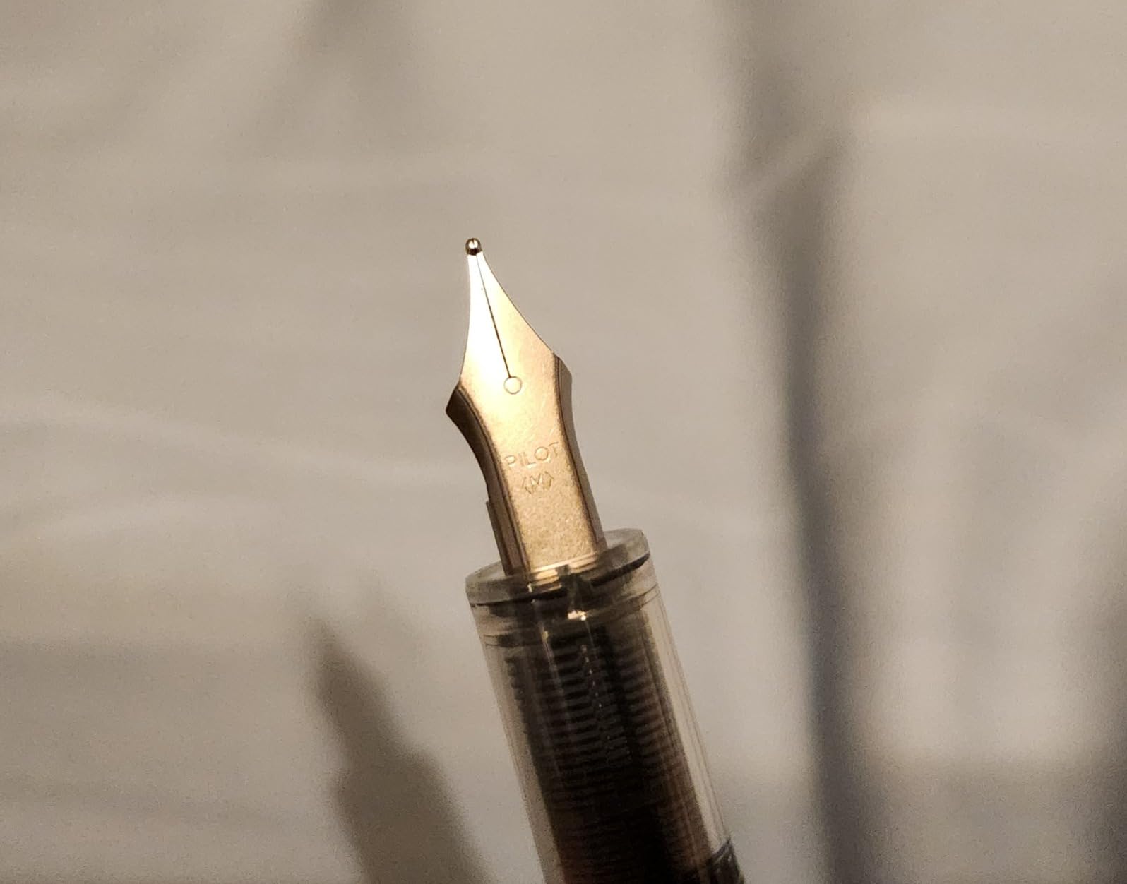 Pilot Precise Varsity Pre-Filled Fountain Pens, Medium Point 1mm Stainless Steel Nib, Black/Blue, 6-Pack customer photo 2