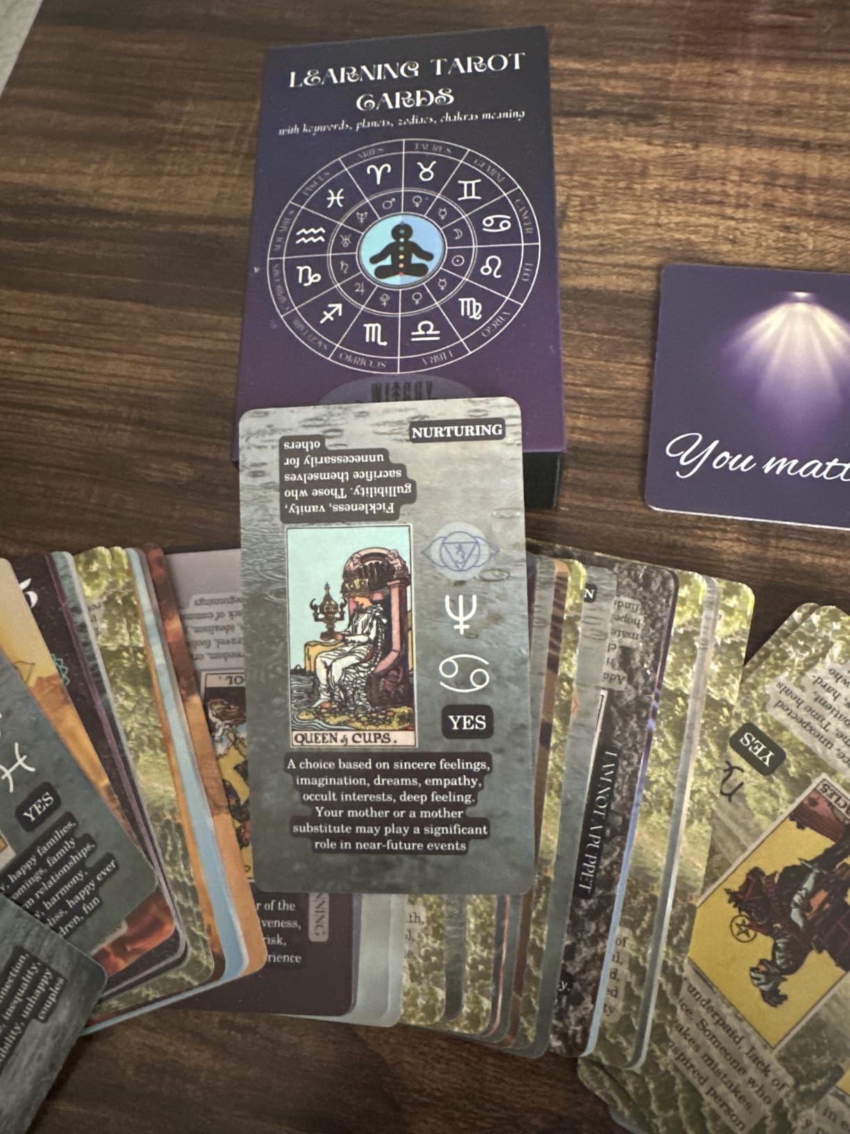 Witchy Cauldron Tarot Cards for Beginners with Meanings on Each Card - 78 Card Learning Tarot Deck with Guidebook, Reversed Meanings, Chakra, Zodiac & Planetary Symbols customer photo 1