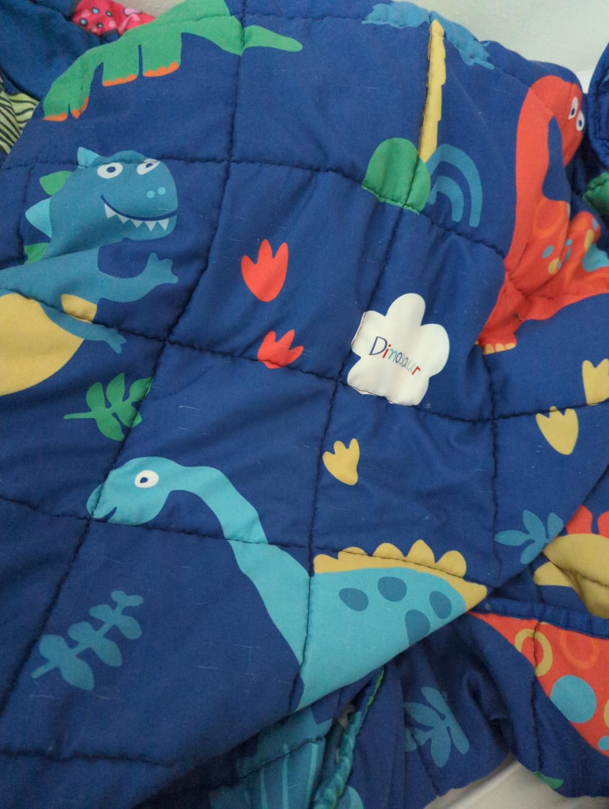 HOSUKKO Weighted Blanket - 7 lbs Blue Dinosaur Heavy Blanket customer photo 2