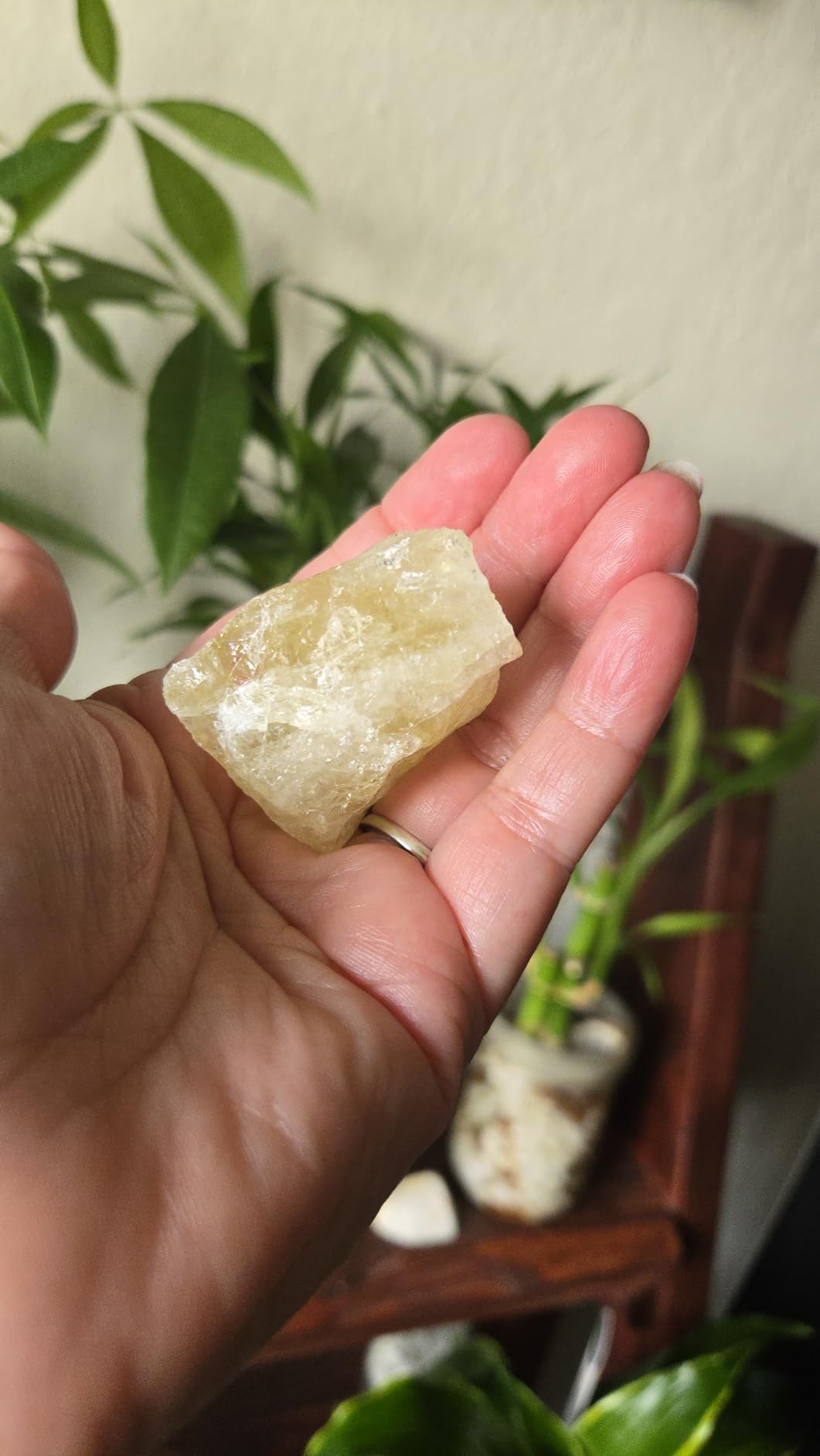 LAIDANLA Citrine 2