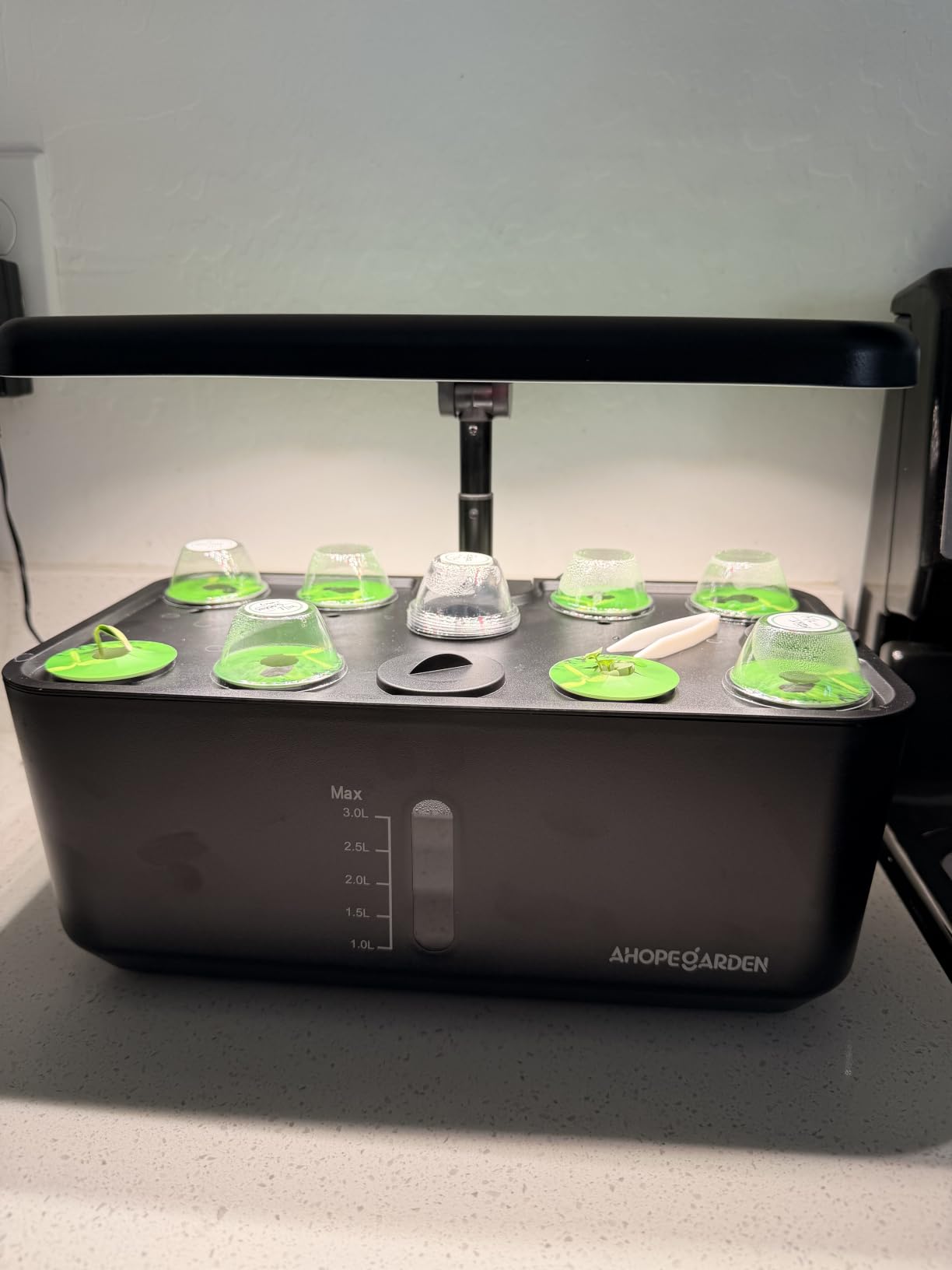 Indoor Garden Hydroponics Growing System: 10 Pods Kit with LED | Plant Germination Kit Herb Vegetable Growth Lamp Countertop, Hydroponic Planter Grower Harvest Lettuce for Healthy Home Cooks customer photo 1