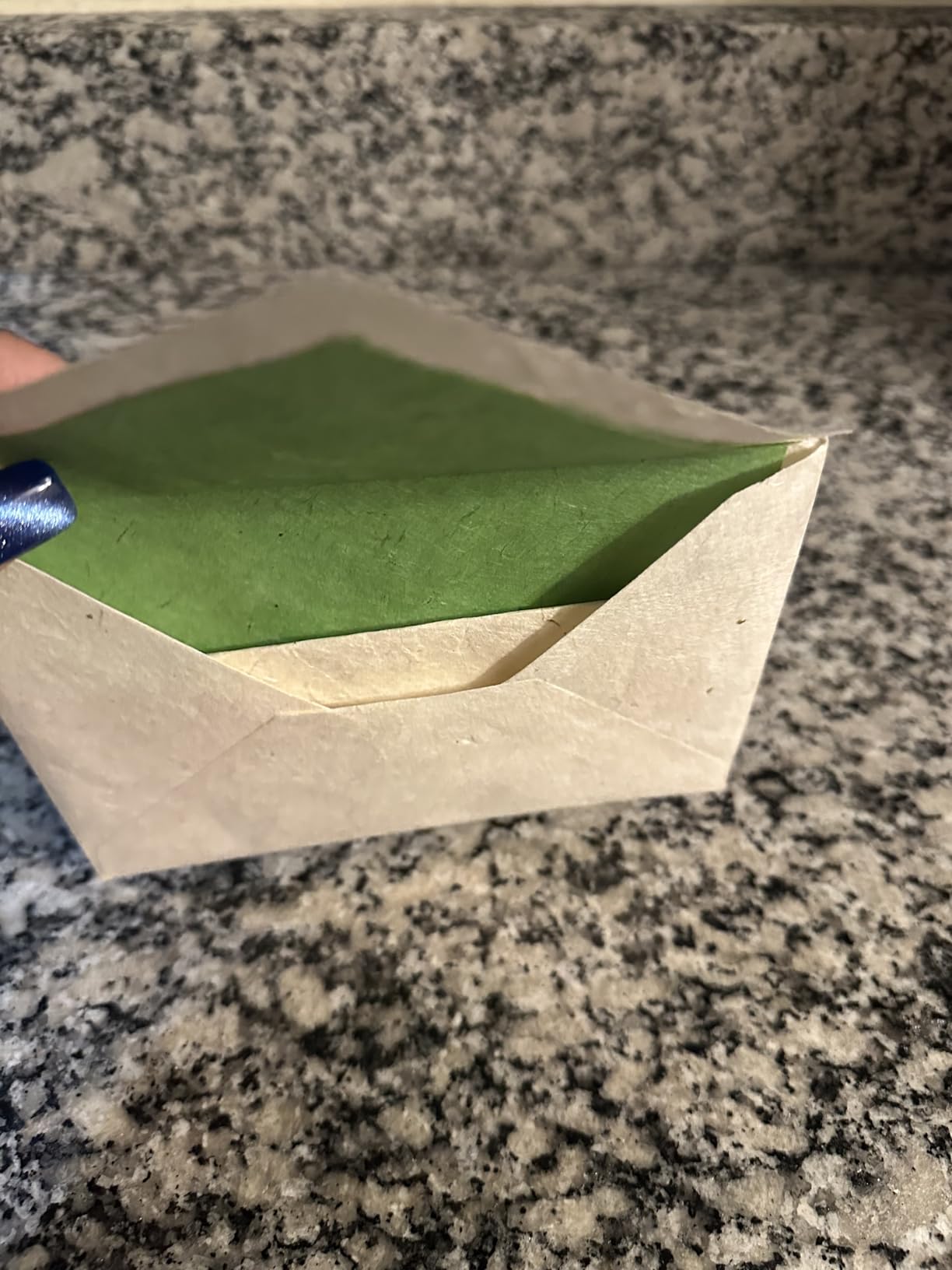 Vintage Stationery Gift Box Set, Forest Wanderer | 50 handmade A5 deckle edge lokta paper sheets and 30 envelopes, pressed flowers, antique letter writing set, made in Nepal customer photo 1