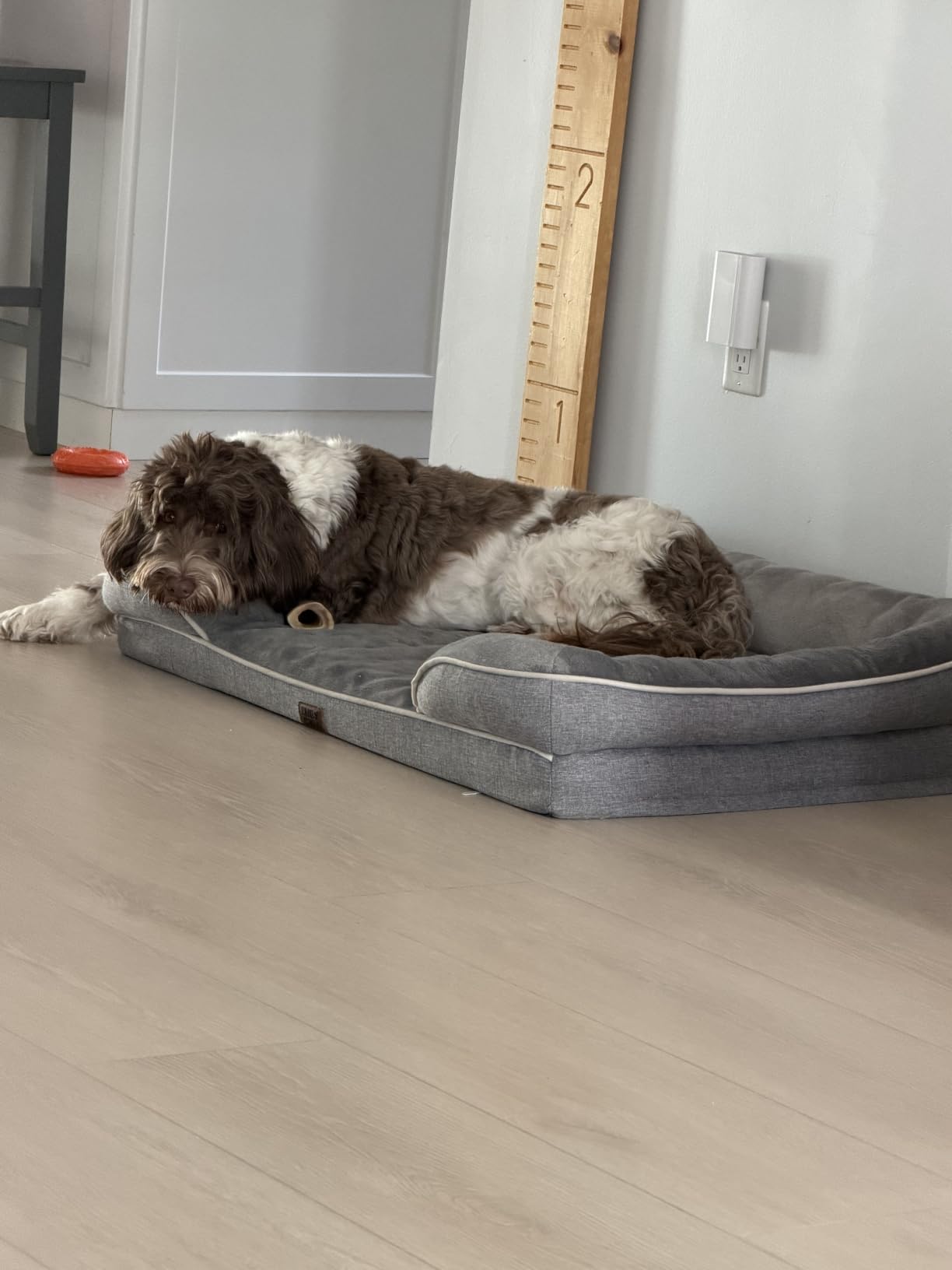 EHEYCIGA Orthopedic Dog Beds Large Sized Dog, Waterproof Memory Foam Pet Bed with Sides, Non-Slip Bottom Large Pet Bed with Washable Removable Cover, Grey customer photo 1