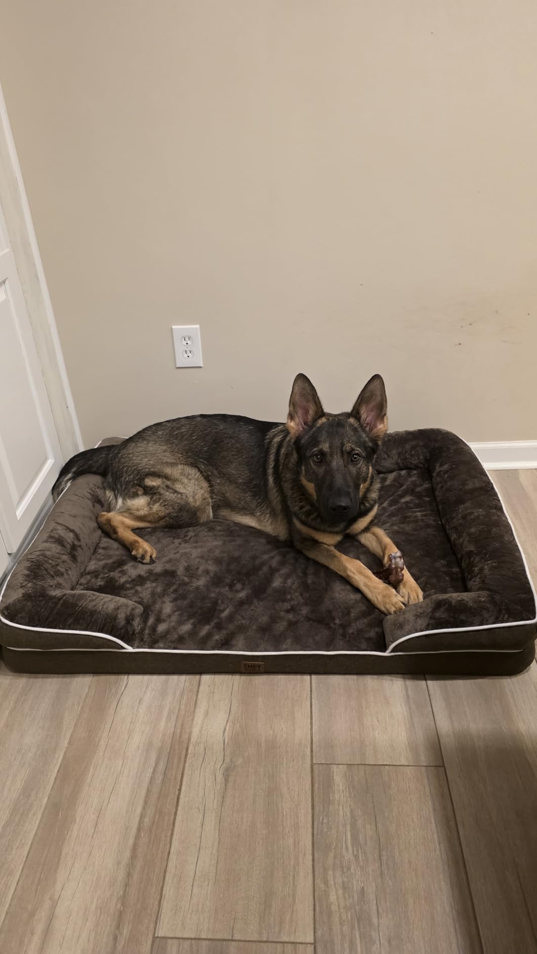 EHEYCIGA Orthopedic Dog Beds Large Sized Dog, Waterproof Memory Foam Pet Bed with Sides, Non-Slip Bottom Large Pet Bed with Washable Removable Cover, Grey customer photo 2