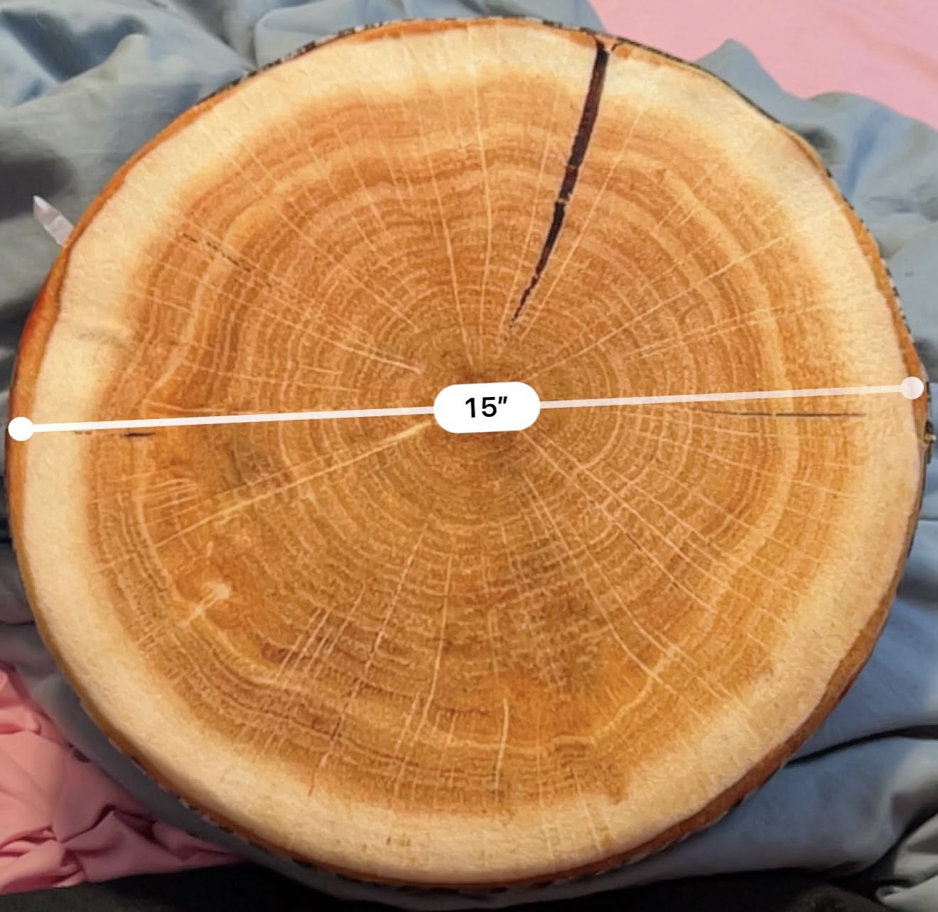 6 Pcs Round Throw Pillow Wood Slice Tree Stump Floor Cushion, Bedroom Decor | 3D Print Log Pillows for Kids, Living Room Sofa Chair, Natural Wood Ring Pattern, Forest Floor Seat Cushion customer photo 2