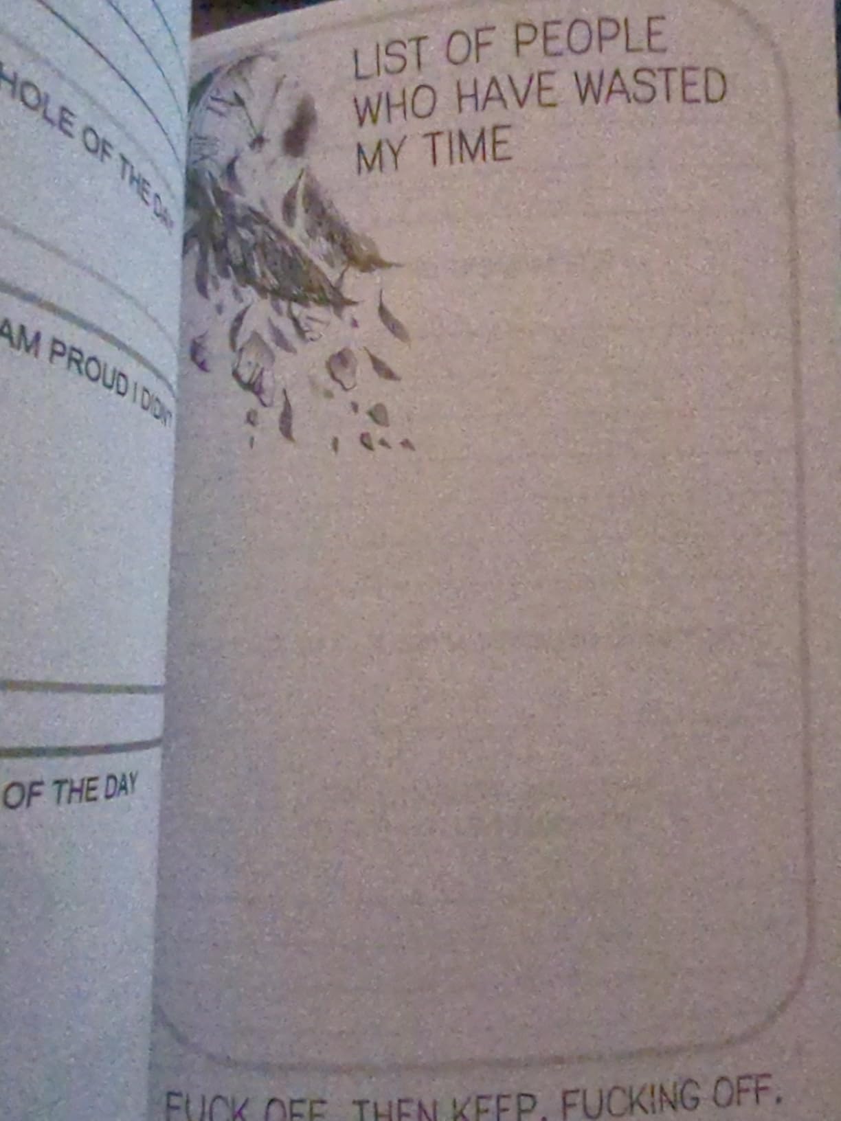 Fuck It: A Guided Self-Love and Gratitude Journal for Women to Unfuck Your Life, Exhale the Bullshit, and Love Who You Are (Cute Self Care & Self Help Books) customer photo 2