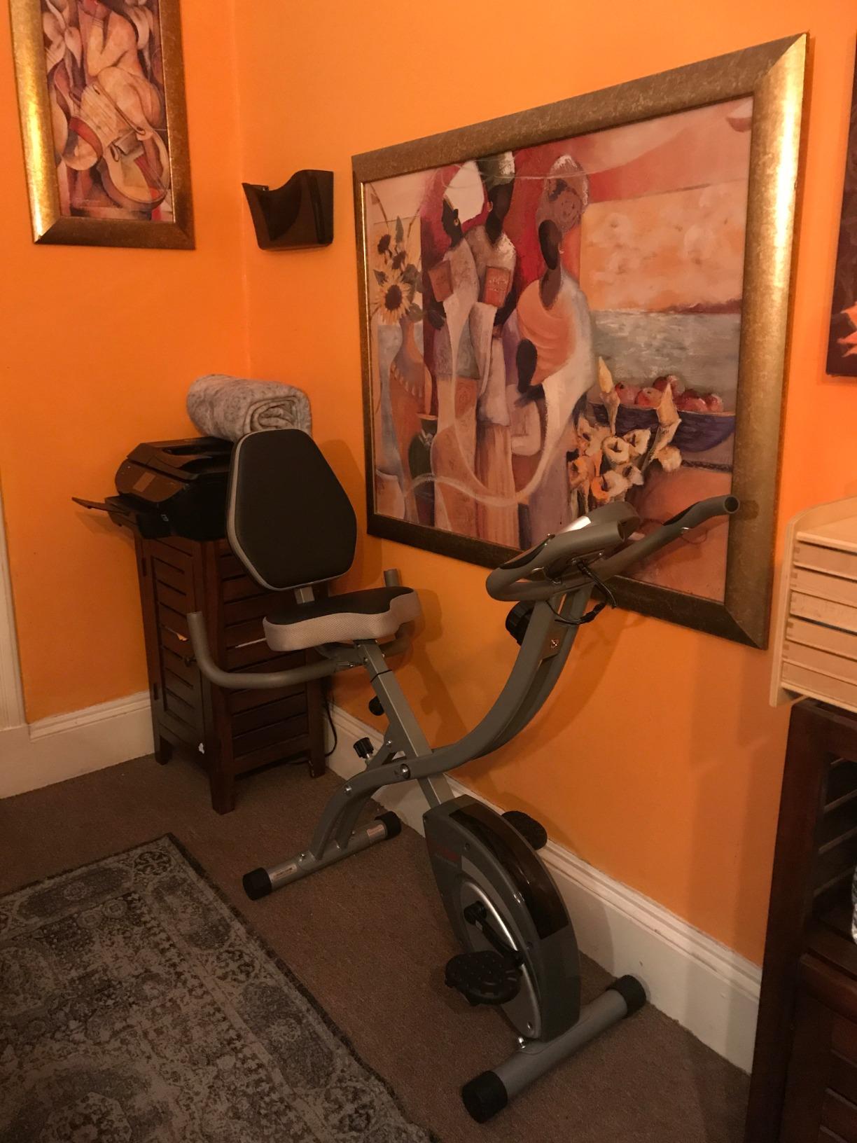Sunny Health & Fitness Smart Foldable Magnetic X-Bike, Low-Impact Workouts customer photo 2