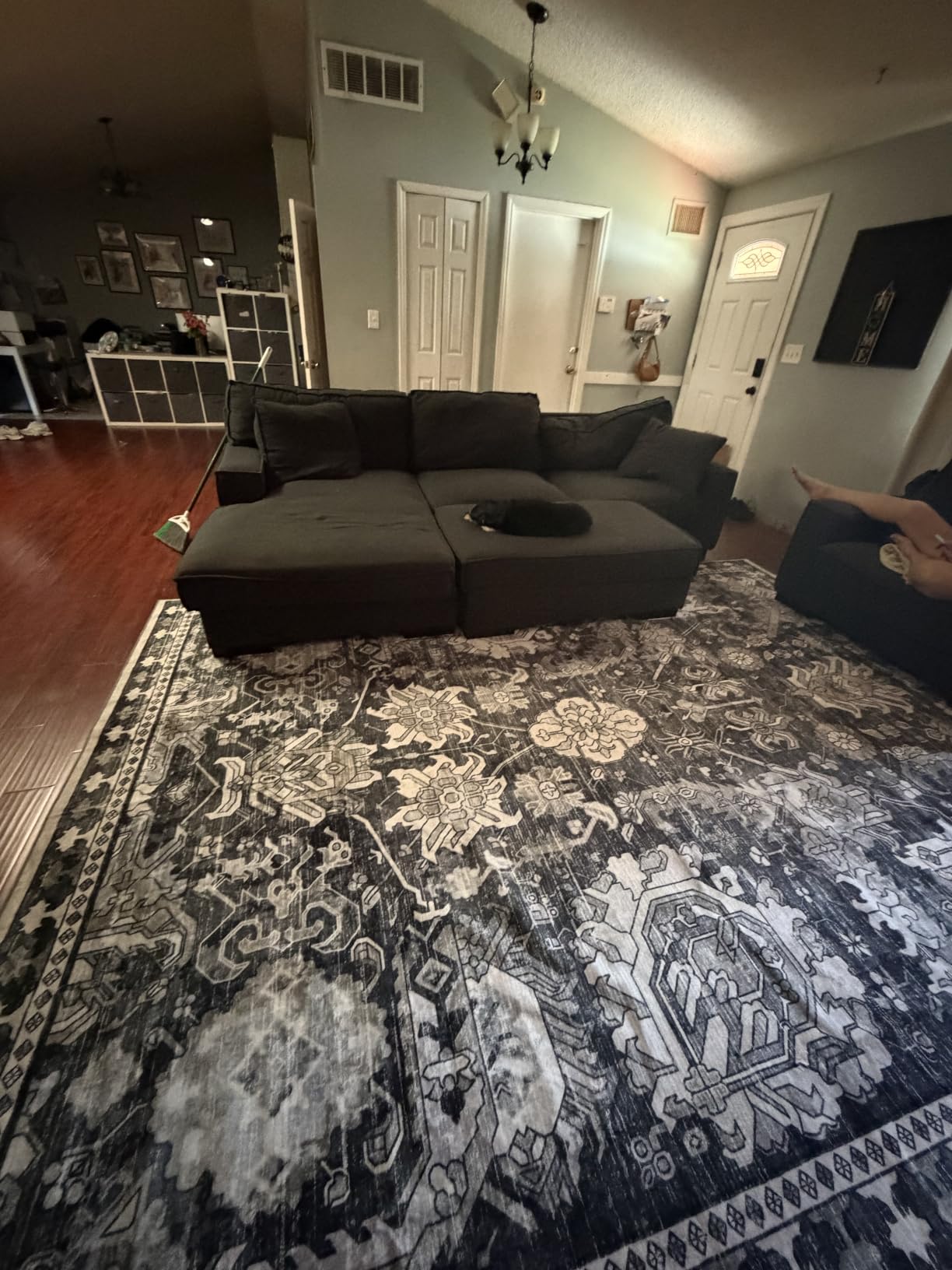 Washable Area Rugs - Perfect for Living Room, Bedroom, Kids Room, Nursery - Stain & Water Resistant Non-Slip, Pet & Child Friendly, Vintage Tribal Area Rugs (Green, 3' x 5') customer photo 1