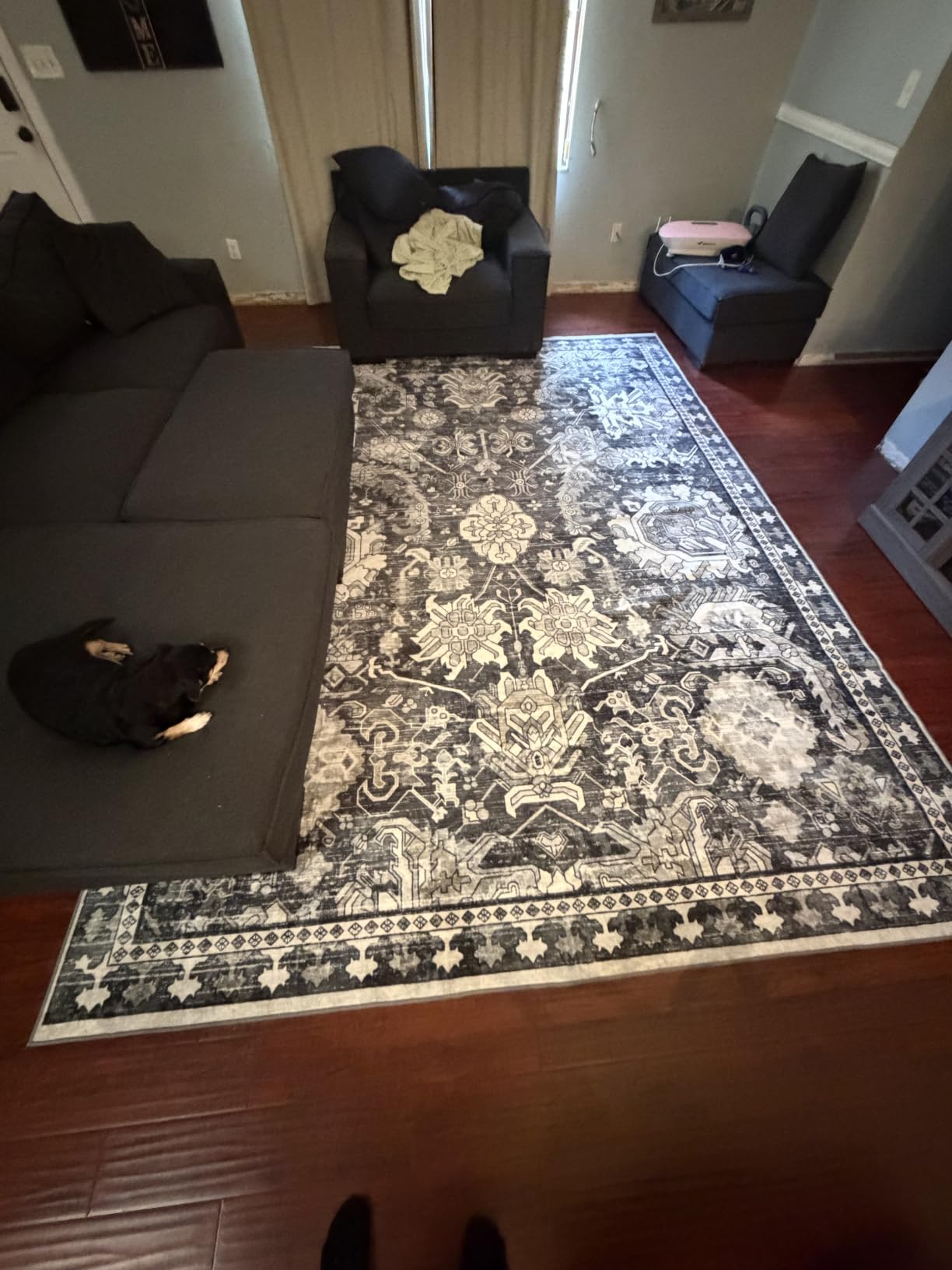 Washable Area Rugs - Perfect for Living Room, Bedroom, Kids Room, Nursery - Stain & Water Resistant Non-Slip, Pet & Child Friendly, Vintage Tribal Area Rugs (Green, 3' x 5') customer photo 2