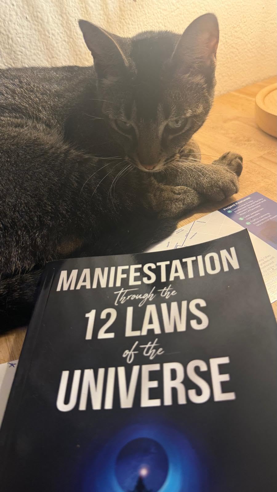 Manifestation Through the 12 Laws of the Universe: Manifest Your Dreams and Attract Abundant Peace Money Happiness Freedom customer photo 1