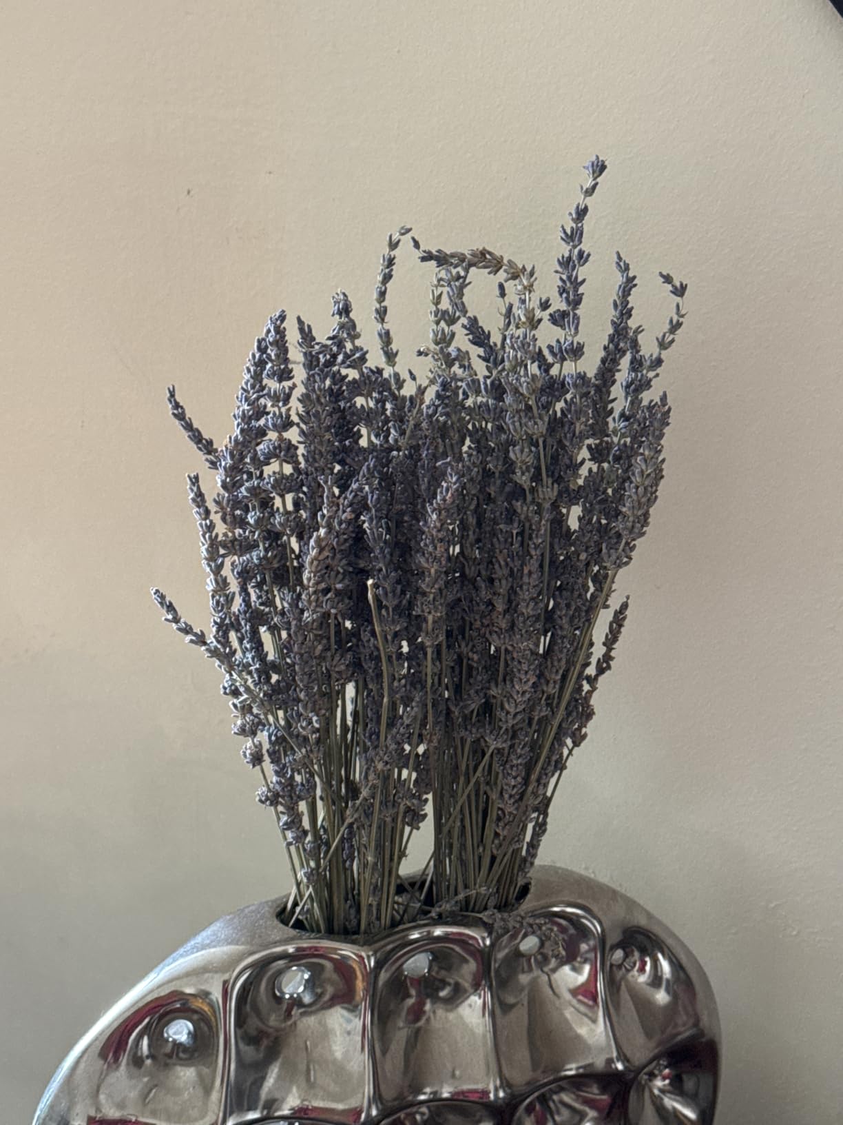 Dried Lavender 2 Bunches 100% Fresh Natural Purple Bouquet Flowers for Bathroom Photo Props Crafts Decoration, 15-17