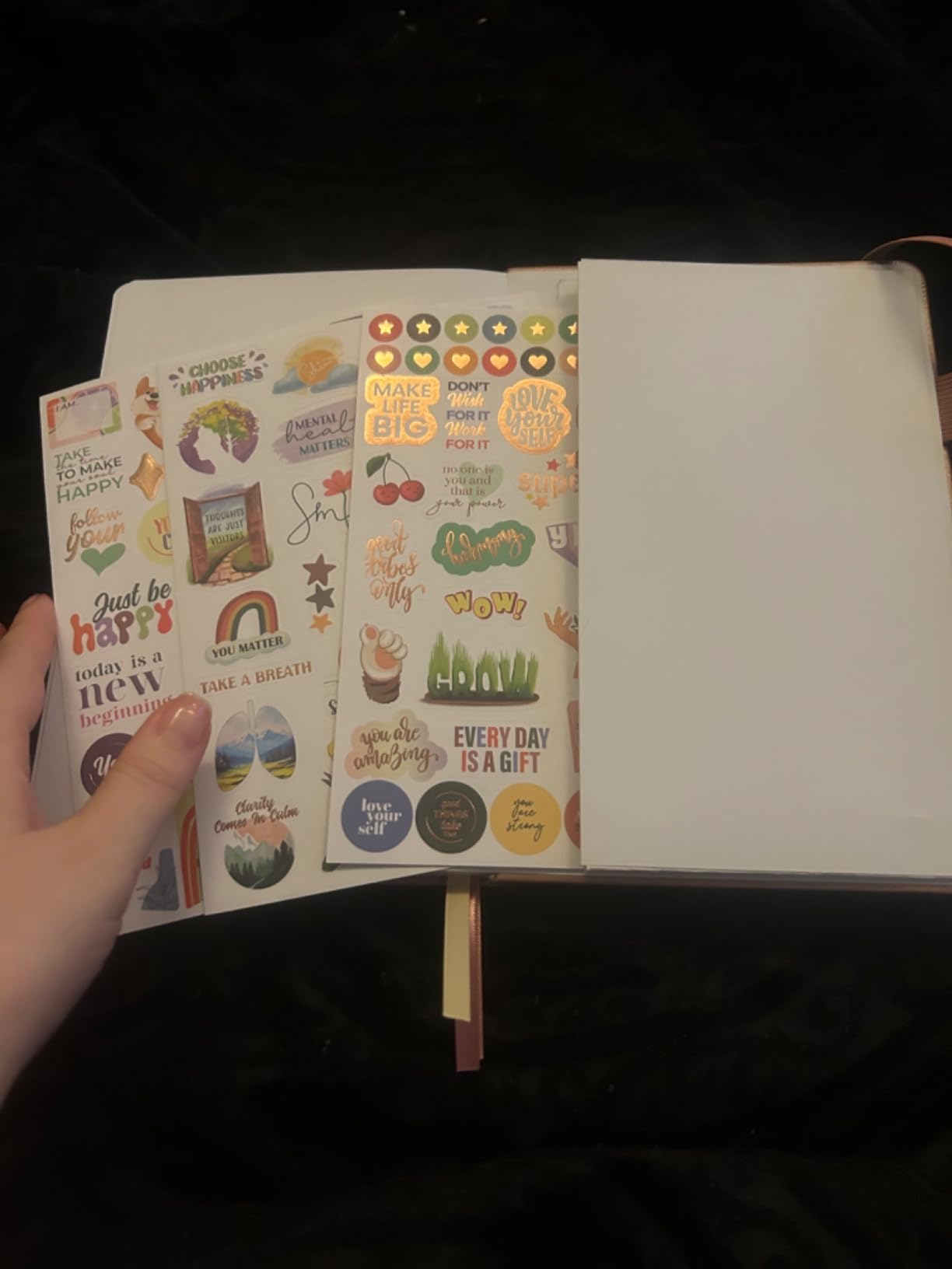 Clever Fox Mental Health & Anxiety Journal - CBT Prompts, Guided Self-Care Diary for Women, Men & Teens, Self-Help Therapy, Feelings & Mood Tracker customer photo 2