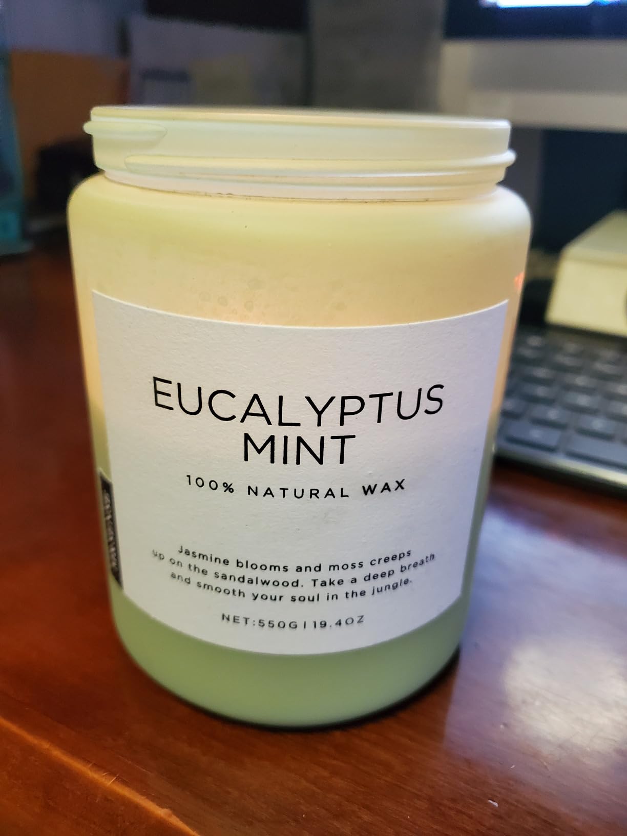 M&SENSE Eucalyptus & Mint Scented Jar Candle, Large 19.4oz Natural Soy Wax | 110-Hour Long Lasting, Non-Toxic Clean Burning, Fresh Smelling Home Aromatherapy for Spa Stress Relief, Gifts for Men Women customer photo 2