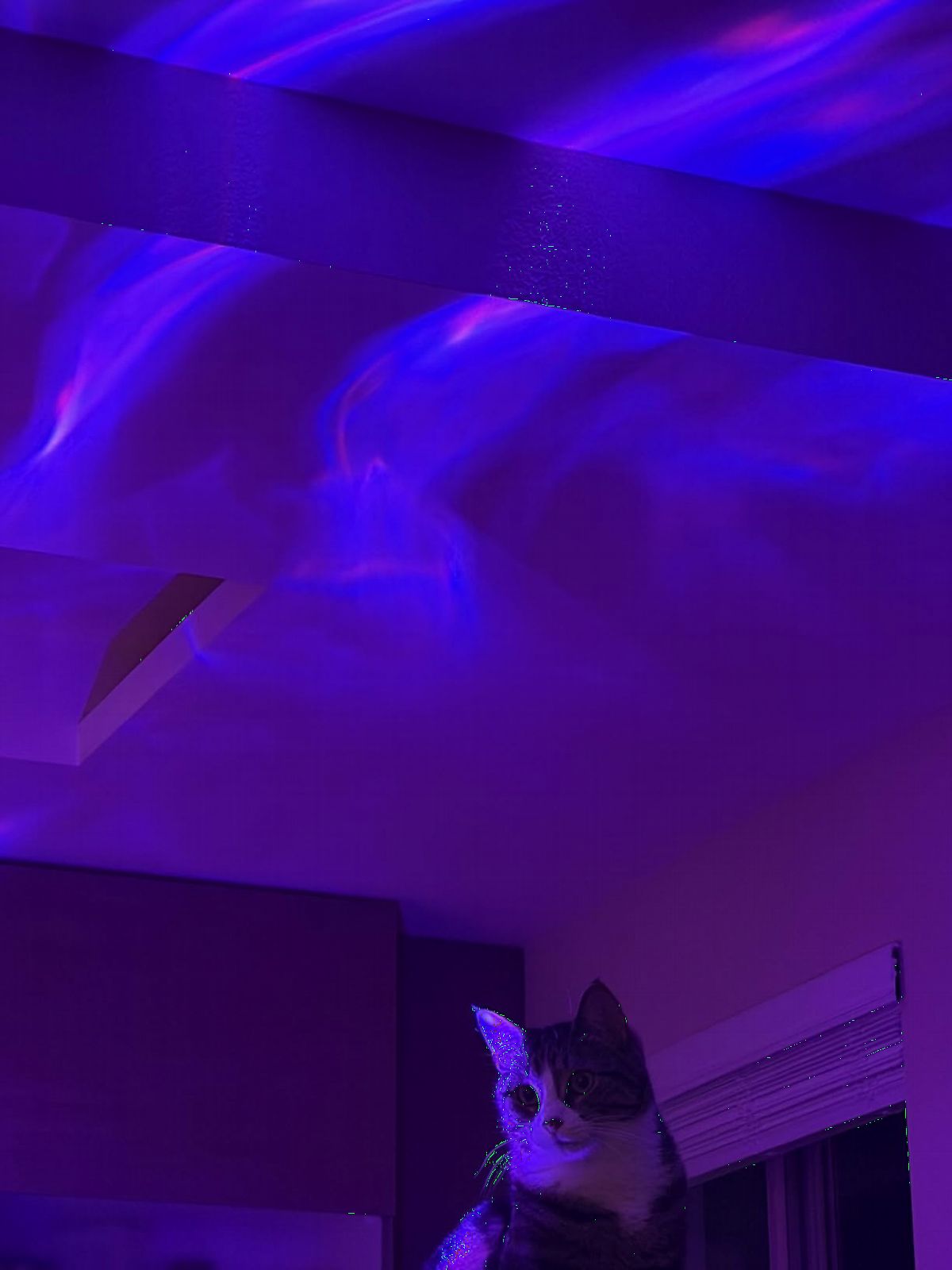 Galaxy Projector Night Light Projector Teen Girl Gifts Trendy Stuff,18-Color Lava Lamp LED Lights for Bedroom Mood Ambient Lighting,Birthday Gifts Northern Aurora Light Projector Dorm Decor Room Decor customer photo 2