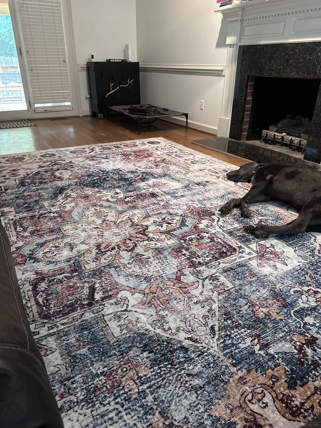 CHAMPLANT Washable Vintage Area Rug 6'x9' Boho Beige Blue Chic Medallion Distressed Design Non-Shedding Easy Care Ideal for High Traffic Areas in Living Room Bedroom Kitchen Office Large Carpet customer photo 2