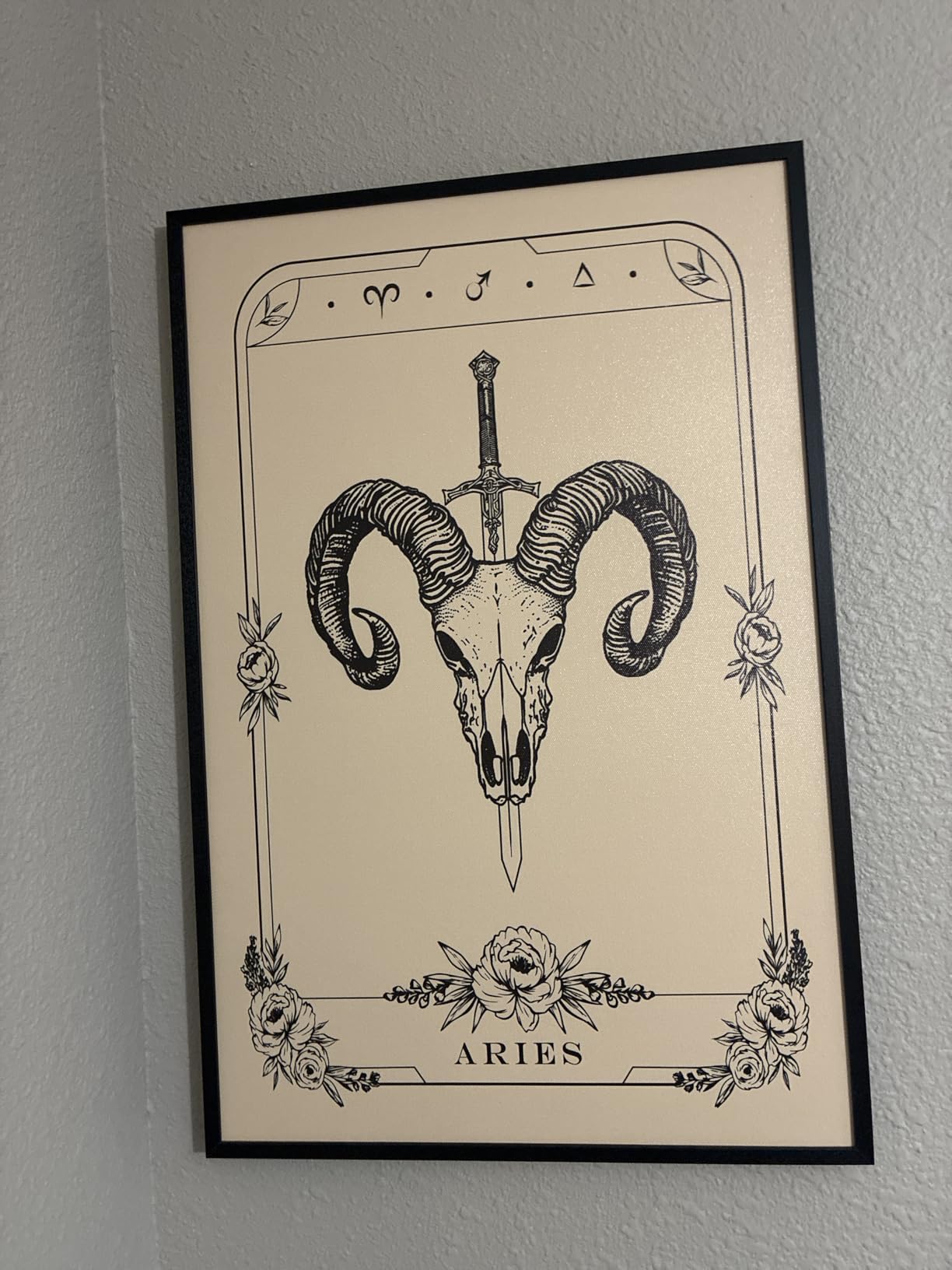 SERIMINO Capricorn Tarot Wall Decor for Room, Witchy Artwork | 12 x 16 in Gothic Dark Academia Wall Art, Capricorn Tarot Canvas Prints, Room Aesthetic, Ready To Hang, Sturdy Frame customer photo 1