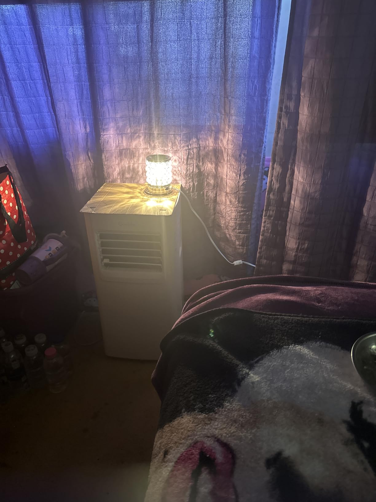 Leyoue Wax Warmer, Crystal Wax Melt Warmer with Bulb Heating | Electric Wax Heater, Candle Wax Burner for Home Decor, Melts Wax Cubes customer photo 2