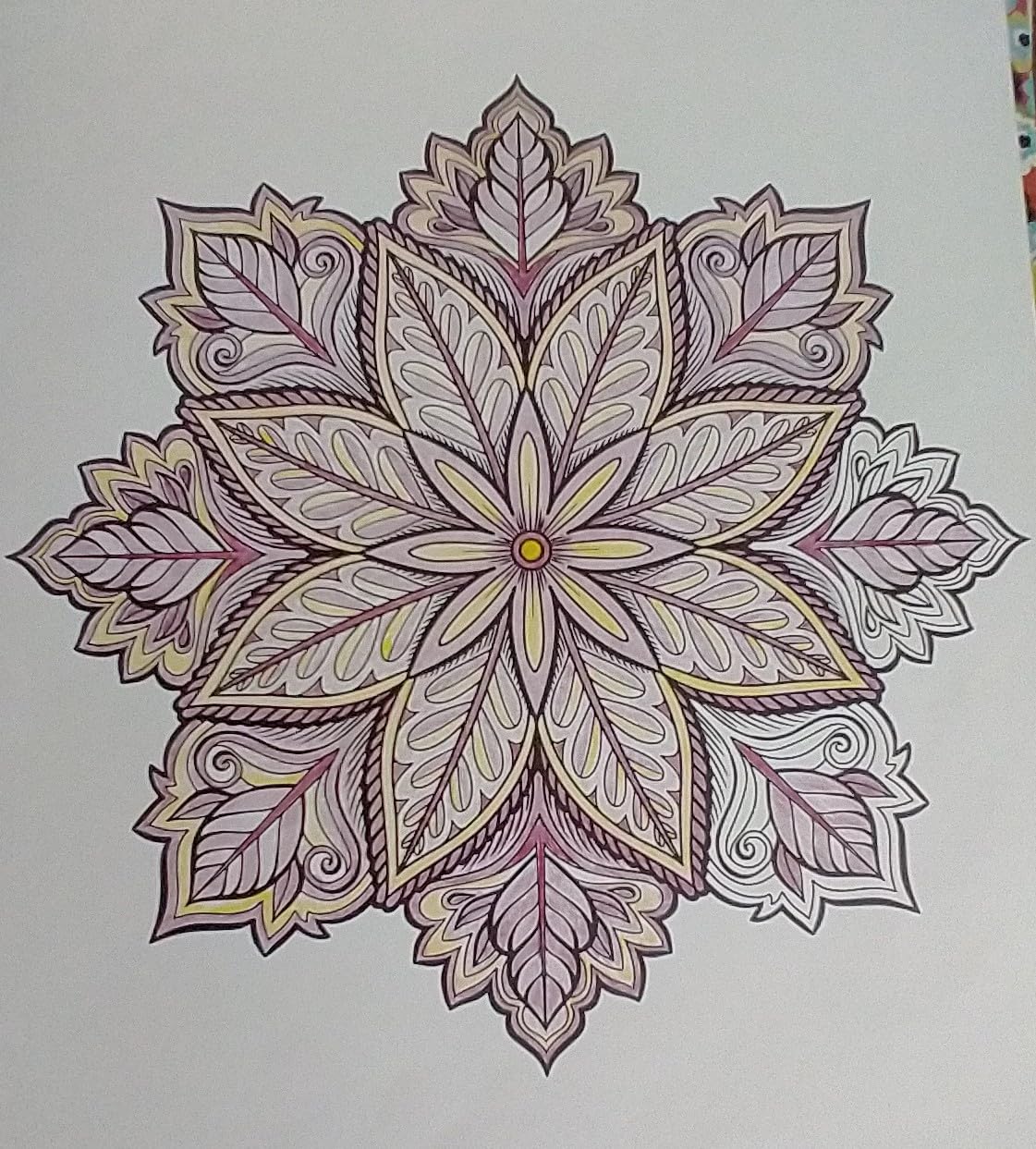 Mandala Coloring Book for Adults, 50 Unique Botanical Designs for Women | Adult Coloring Book for Women Spiral Bound, Nature & Floral Mandala Patterns, Single-Sided 180gsm Thick Paper, Relaxation customer photo 1