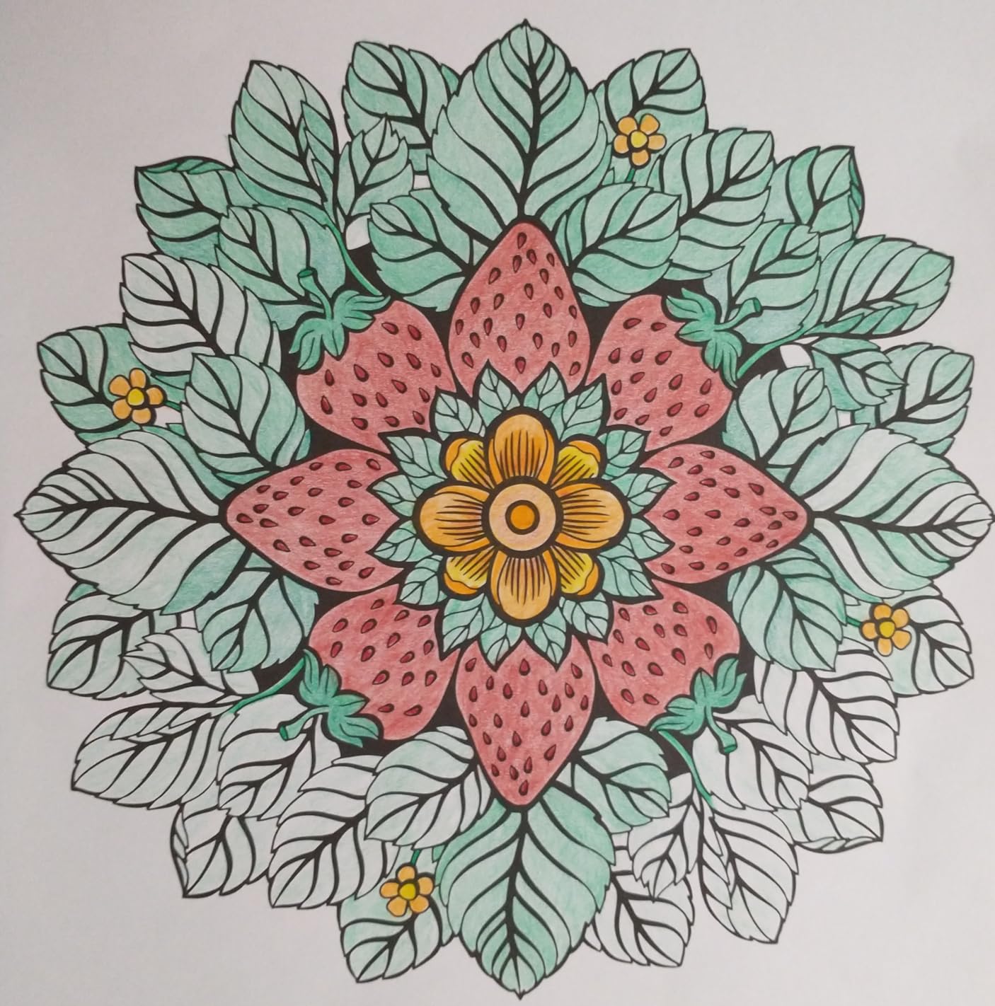 Mandala Coloring Book for Adults, 50 Unique Botanical Designs for Women | Adult Coloring Book for Women Spiral Bound, Nature & Floral Mandala Patterns, Single-Sided 180gsm Thick Paper, Relaxation customer photo 2