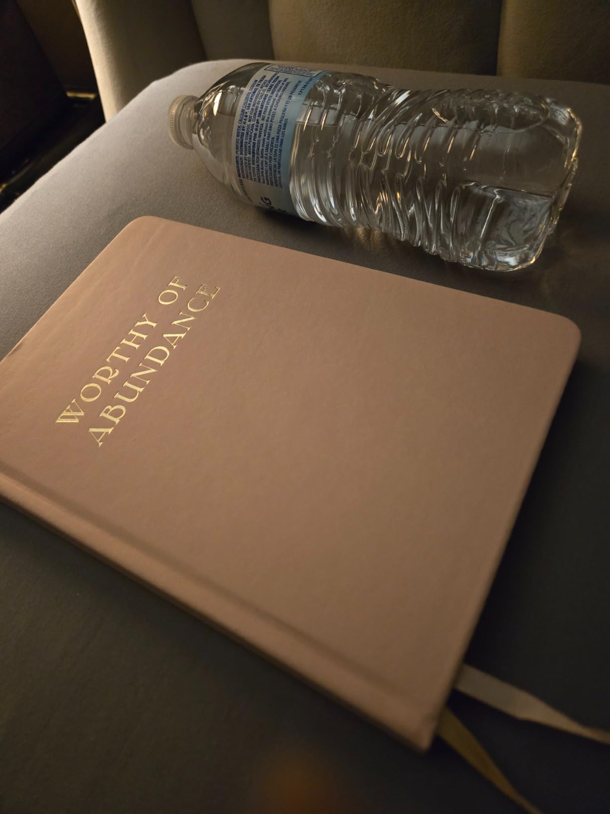 Manifestation Journal - Worthy of Abundance: 12 Week Daily Prompts for Self-Care, Gratitude, Affirmations, Therapy | Manifest Wealth & Millionaire Mindset Planner | 16 Meditation & Hypnosis Bonuses customer photo 2