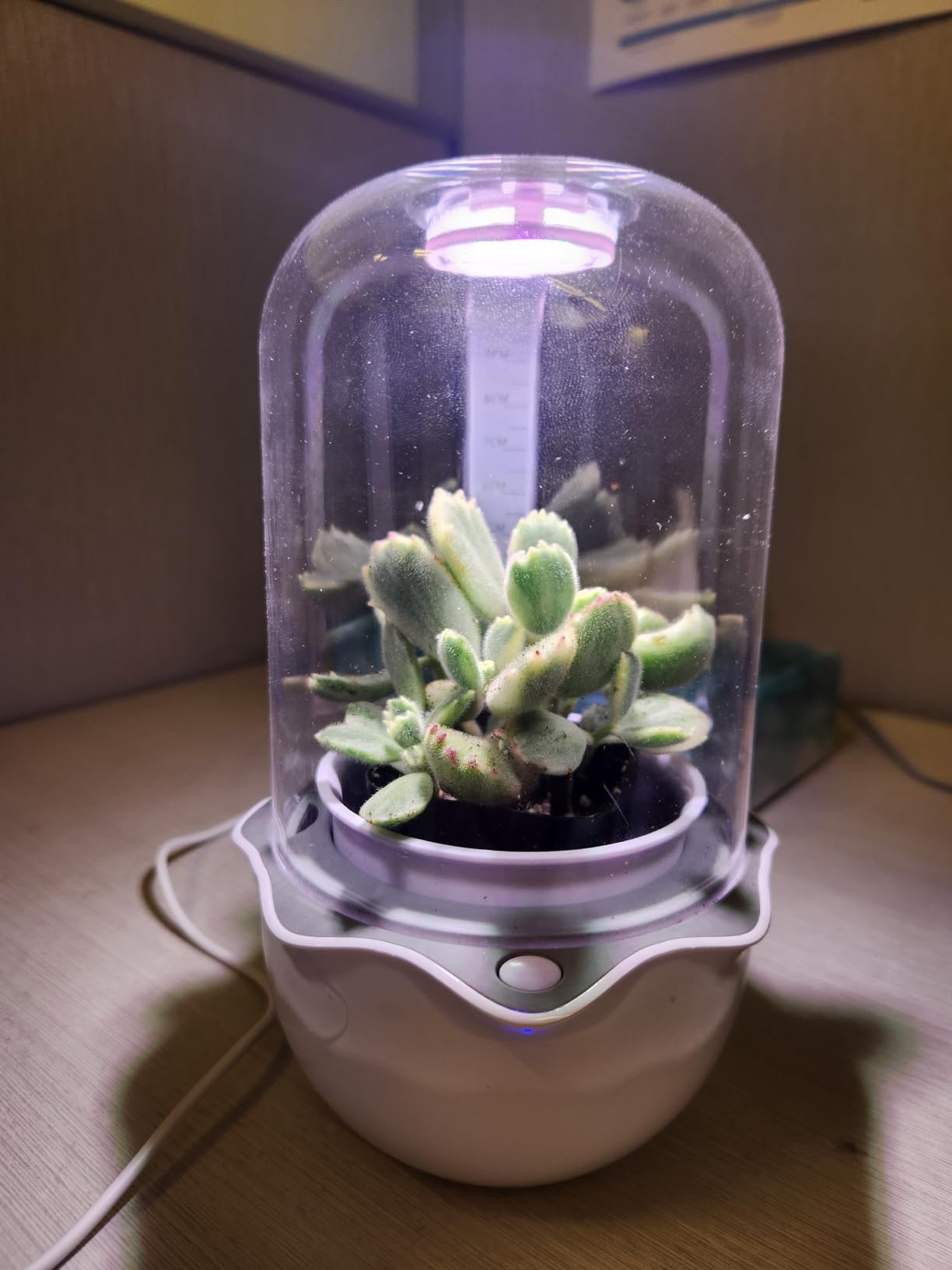 Smart Venus Fly Trap Terrarium Pot with Timer&Fan, Mini Plant Terrarium Kit | Plant Terrarium Kit with Grow Light for Carnivorous, Butterwort, Venus Fly trap, Christmas Gardening Gift for Women Garden Lover customer photo 2