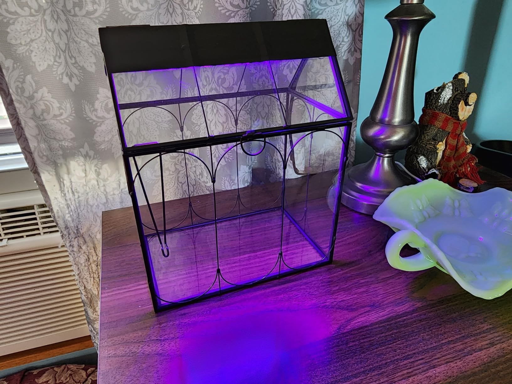 RIFNY Plant Terrarium with Grow Light, Glass Terrarium 7.1 x 4.8 x 8.8 Inch | Terrarium with LED Grow Light and Absorbent Mat for Venus Fly Trap Succulent Live Air Plants Indoor Home Office Decor customer photo 2