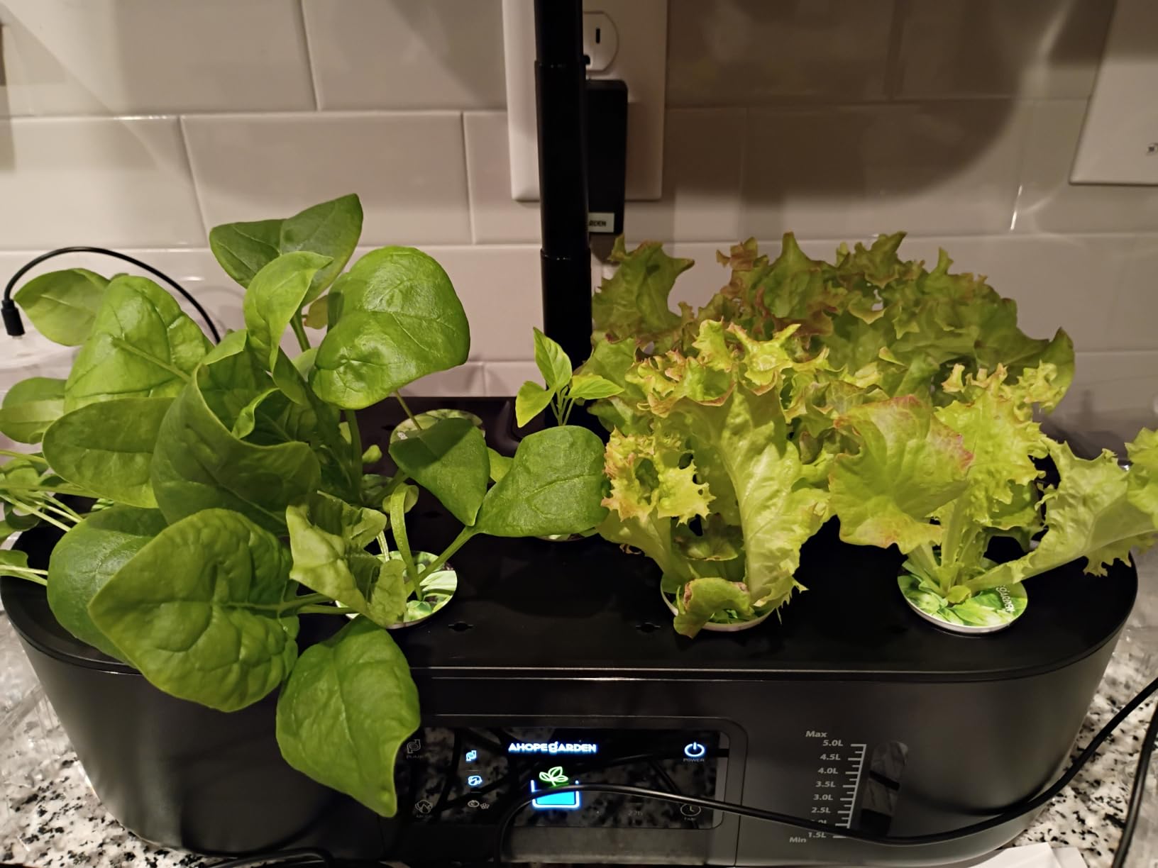 Hydroponics Growing System Kit: 12 Pods with LCD Control Panel | Indoor Herb Garden with Grow Light, Planting Height Up to 17