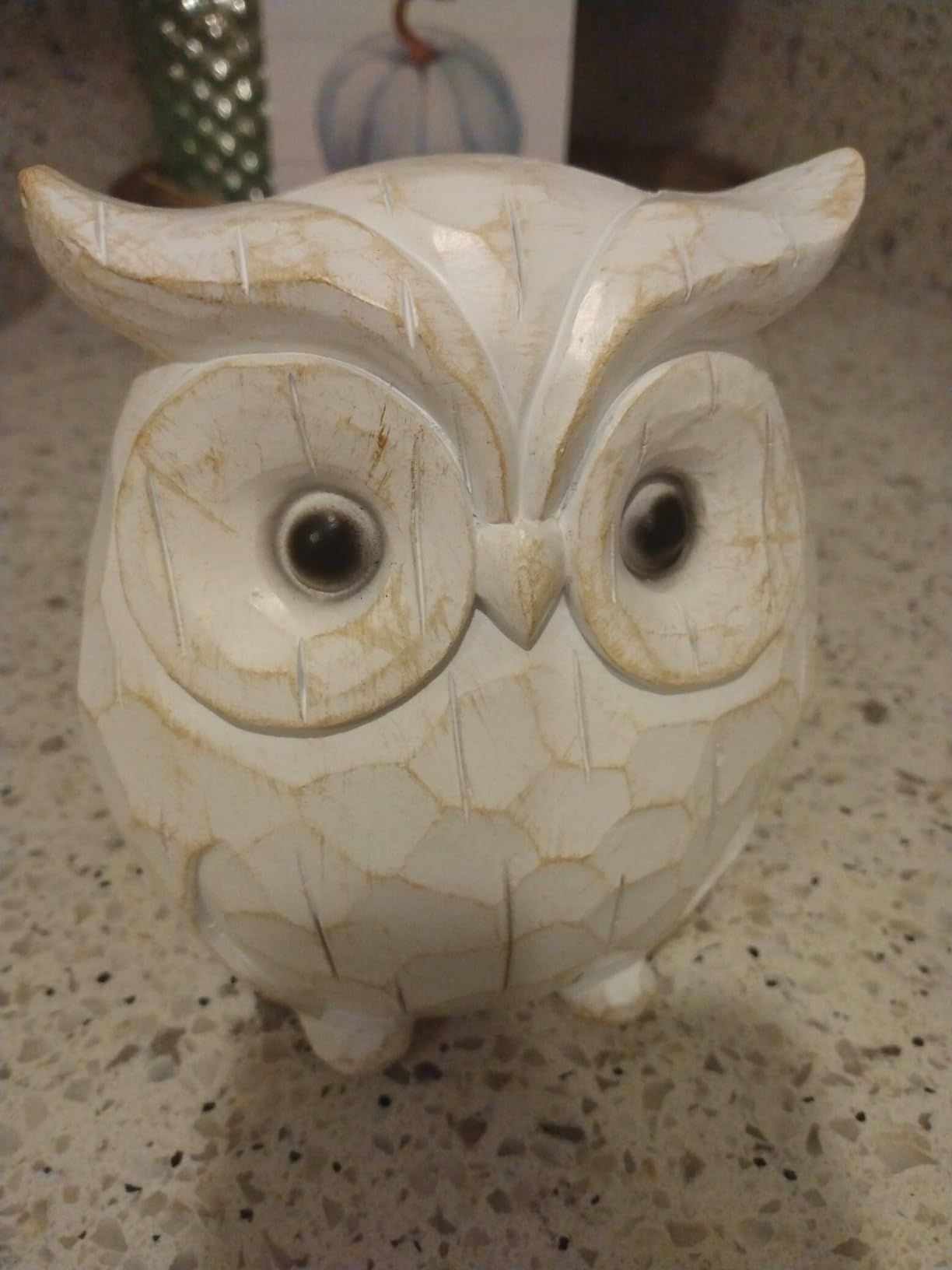 Rustic Carved Owl Figurine - Chubby Owl Decor for Home and Office - Shelf, Desktop, Cabinet, Fireplace Mantel customer photo 1