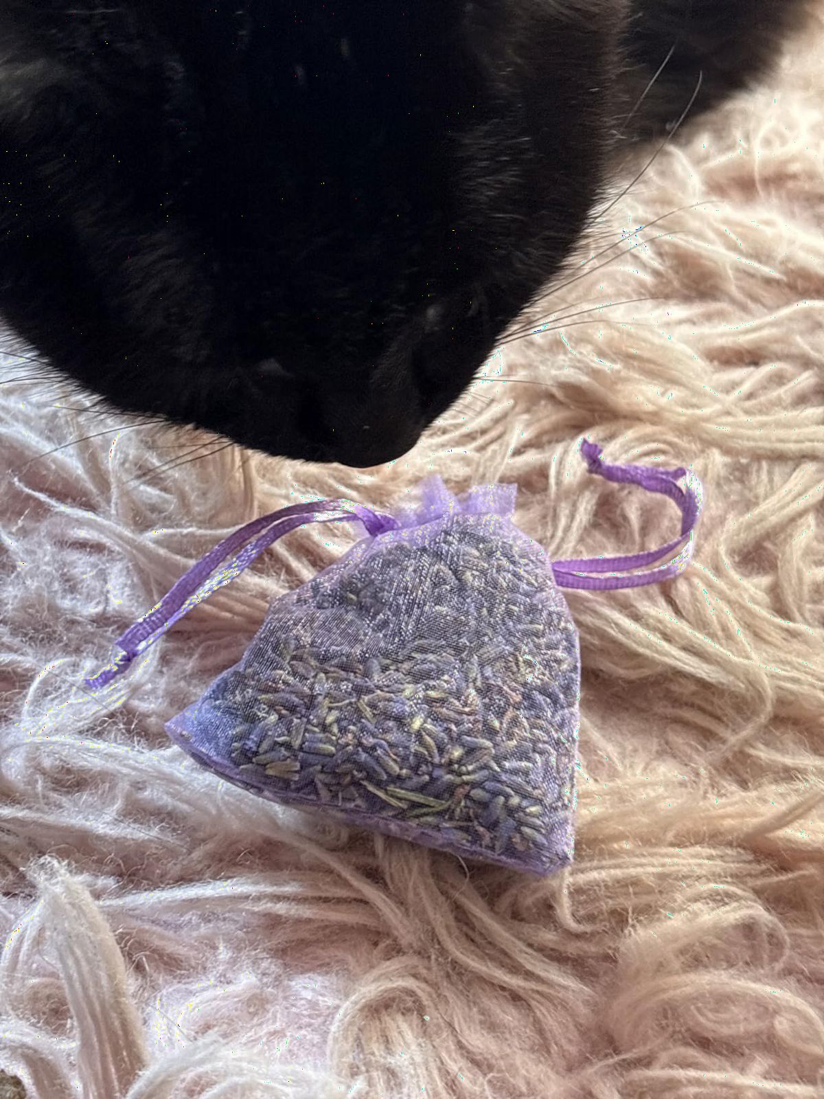 Lavender Sachets (25 Pack) -French Lavender Sachets Closets Fresh Scents, Set of 25, Lavendar Home Fragrance Sachets for Drawers and Closets customer photo 2