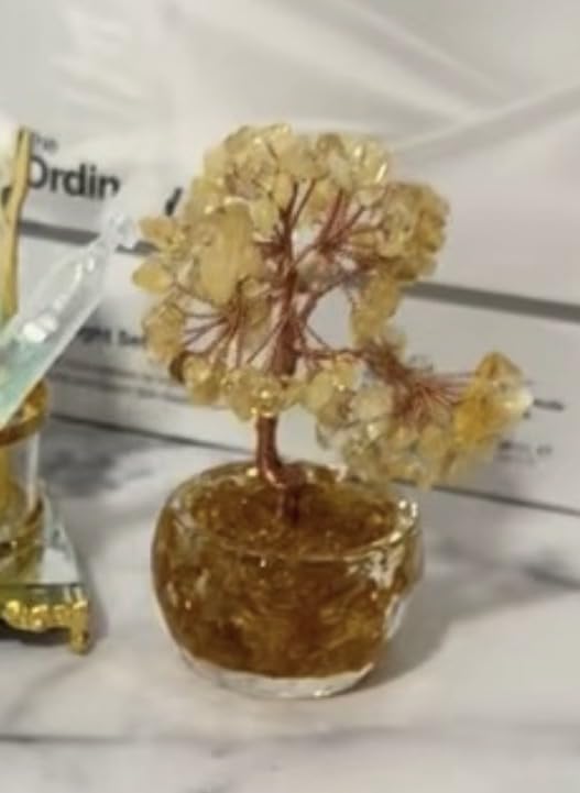 Citrine Crystal Tree of Life - Natural Gemstone Feng Shui Bonsai - Healing Crystals Decor for Home Office, Attract Wealth & Success - Spiritual Gifts for Men & Women (Yellow) customer photo 1