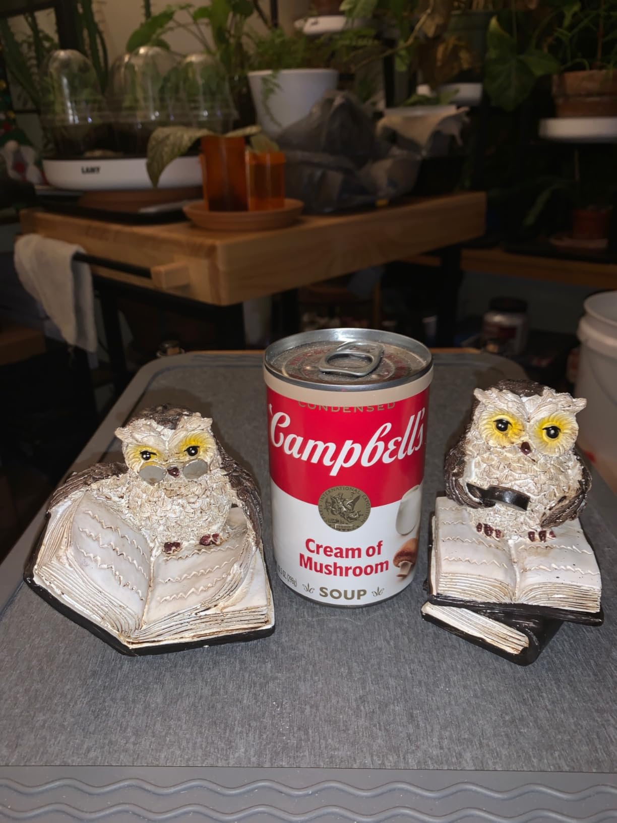 Adorable Reading Owl Statue, 2PCS Retro Resin Wise Owl Thinker Sculptures | Animal Decor Accents Owl Figurines for Living Room Bedroom Office TV Stand Tabletop Shelf Mantel, Gift for Men Bird Lovers customer photo 1
