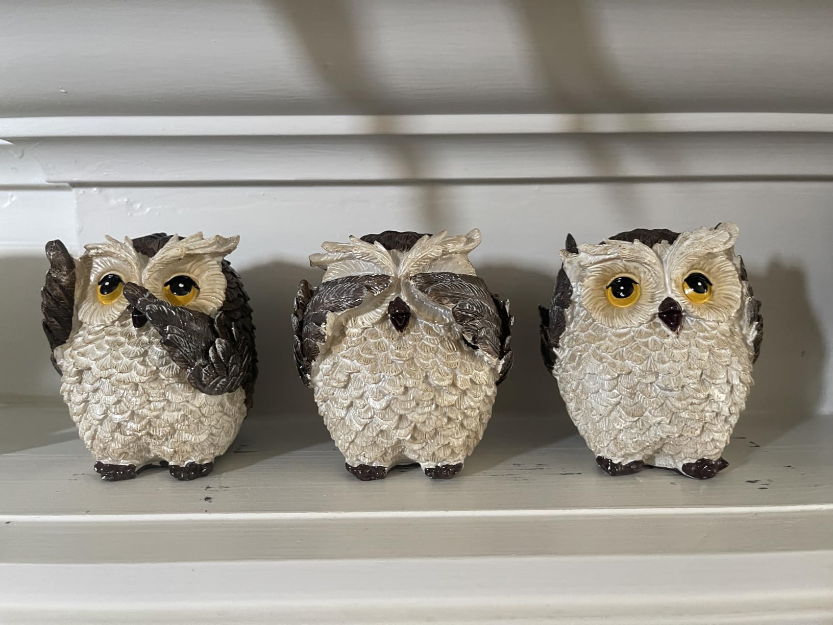Adorable Reading Owl Statue, 2PCS Retro Resin Wise Owl Thinker Sculptures | Animal Decor Accents Owl Figurines for Living Room Bedroom Office TV Stand Tabletop Shelf Mantel, Gift for Men Bird Lovers customer photo 2