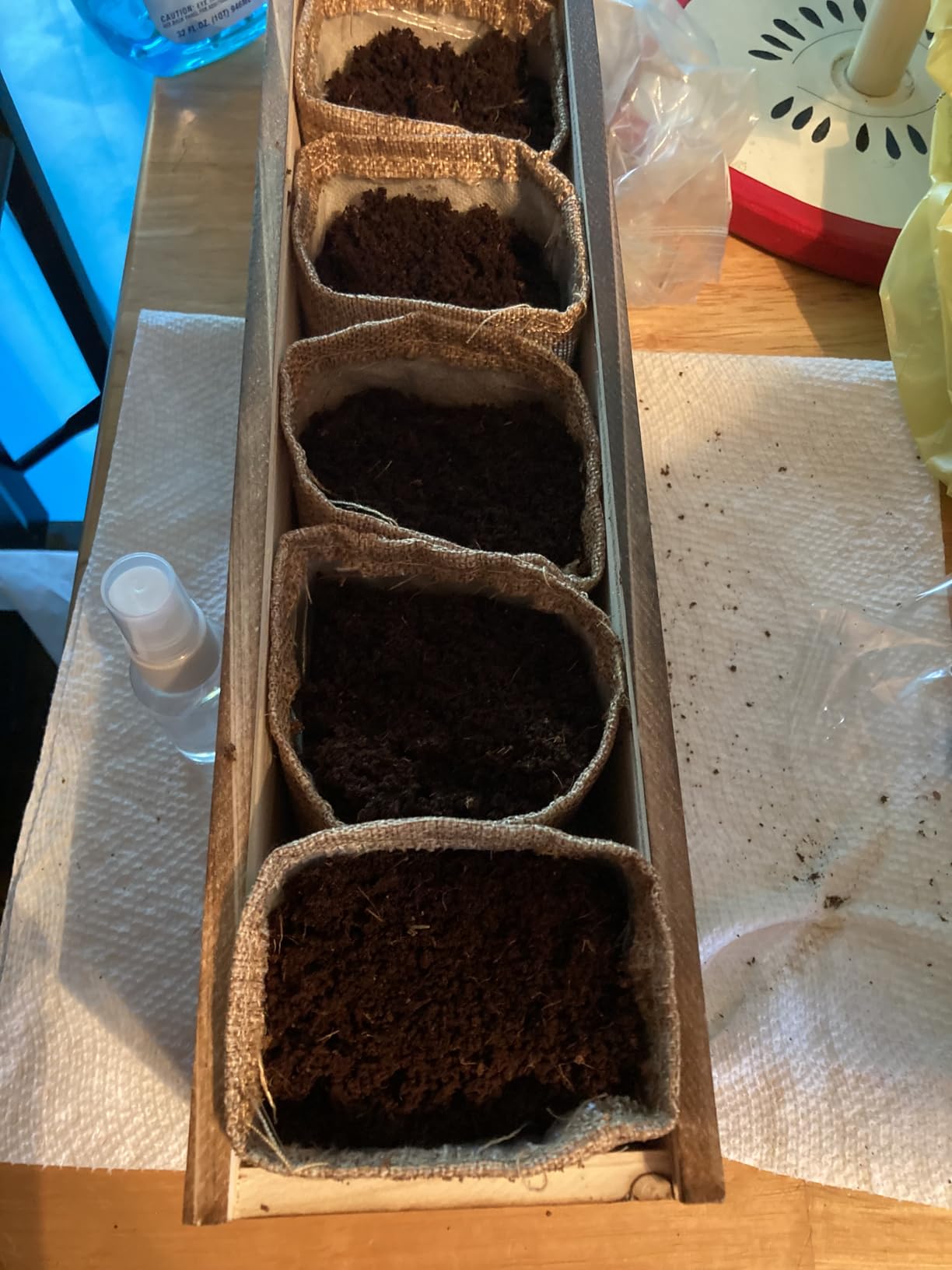 5 DIY Bonsai Tree Kit for Beginners, Complete Indoor Gardening Starter Kit with Seeds, Soils, Pots & Tools, Unique Birthday Gifts Ideas for Women, Men customer photo 1