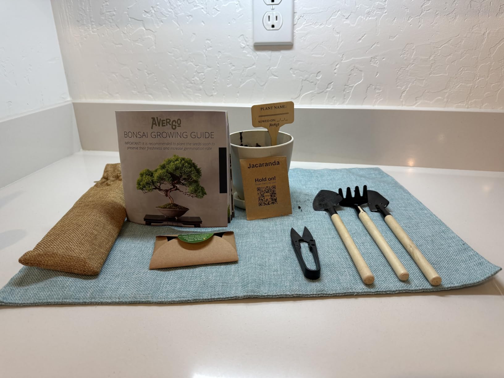 Bonsai Starter Kit - Growing Jacaranda Bonzai Tree | Complete Indoor Tree Kit for Growing Plants with Tools & Planter - Gardening Gifts for Mother, Women & Men customer photo 1