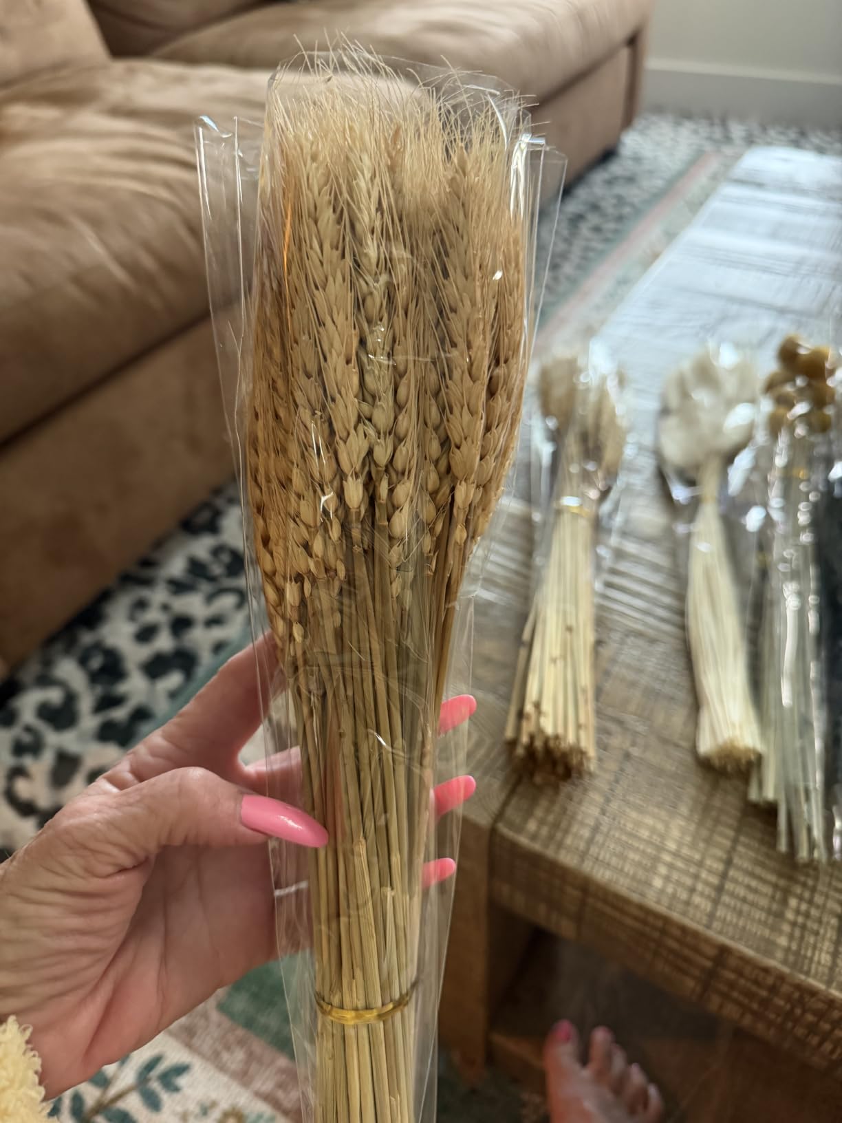 500PCS Dried Pampas Grass Bouquet - Boho Dried Flowers for Vase, White & Brown Pampas, Bunny Tails, Eucalyptus, Wheat & Lavender - Natural Floral Decor for Home, Wedding, Baby Shower & Photoshoot Props customer photo 2