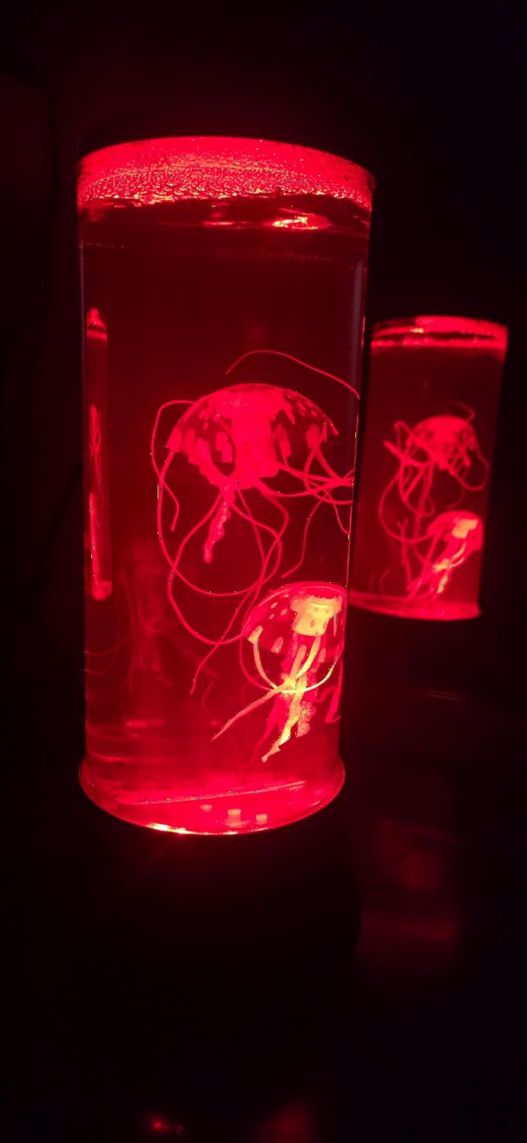 EDIER Jellyfish Lamp, 11 Inch Jellyfish Aquarium with Color Changing Light, Noiseless Pump, USB Powered Mood Light for Home Decor Kids Men Women customer photo 2